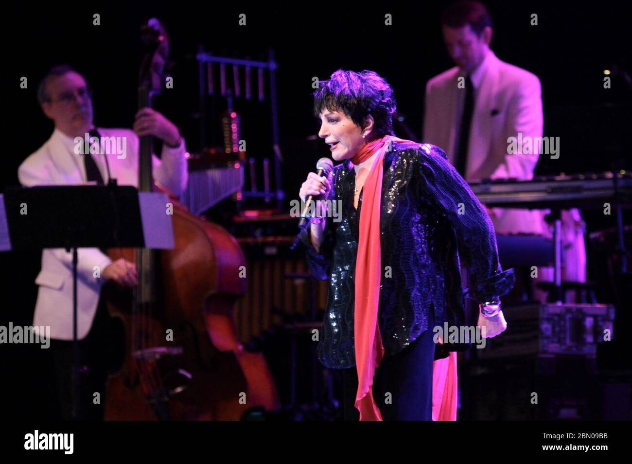 RIO DE JANEIRO, 29.09.2012: Liza Minelli tritt in der Citibank Hall in Rio de Janeiro auf (Néstor J. Beremblum / Alamy News) Stockfoto
