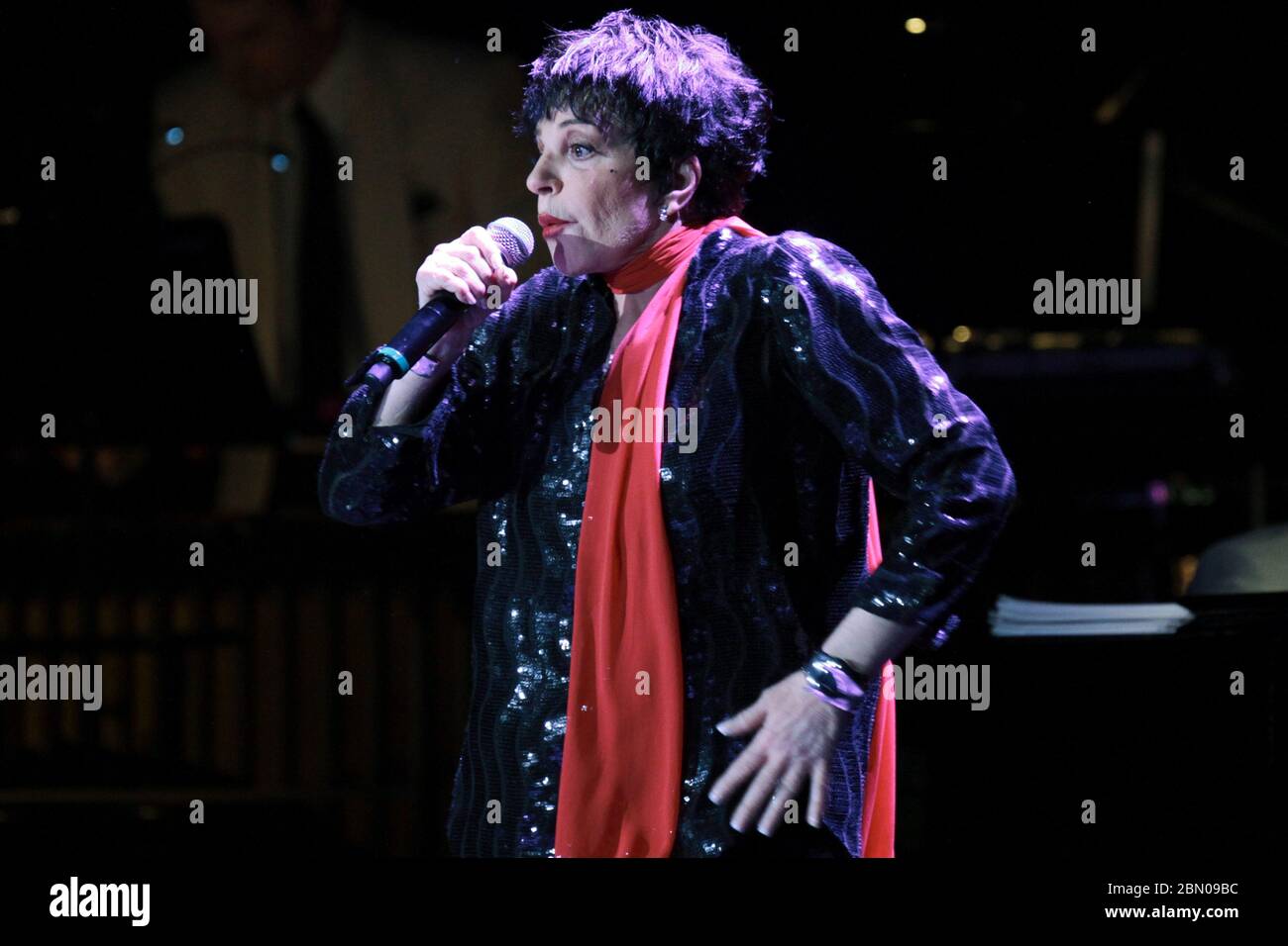 RIO DE JANEIRO, 29.09.2012: Liza Minelli tritt in der Citibank Hall in Rio de Janeiro auf (Néstor J. Beremblum / Alamy News) Stockfoto