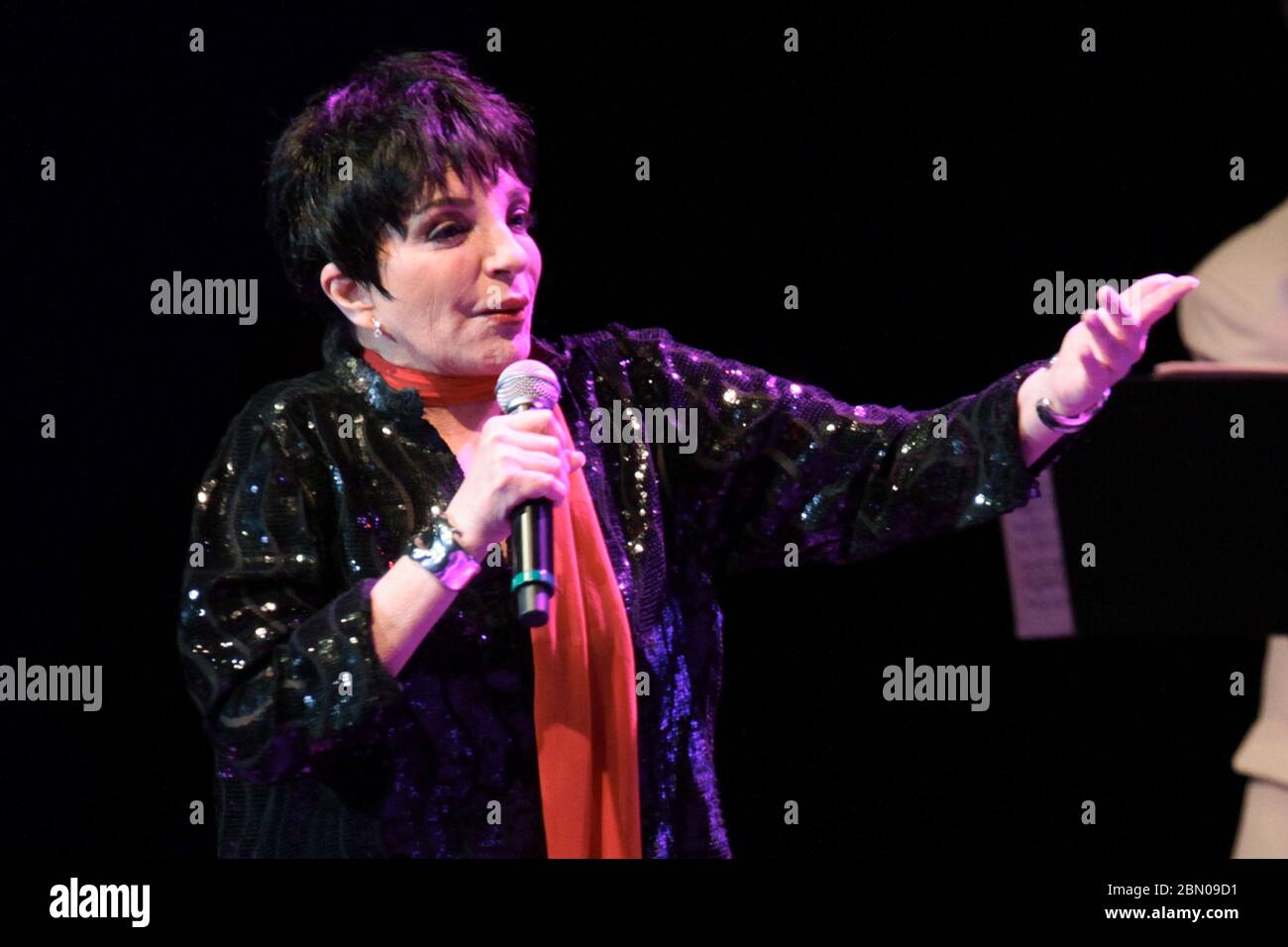 RIO DE JANEIRO, 29.09.2012: Liza Minelli tritt in der Citibank Hall in Rio de Janeiro auf (Néstor J. Beremblum / Alamy News) Stockfoto