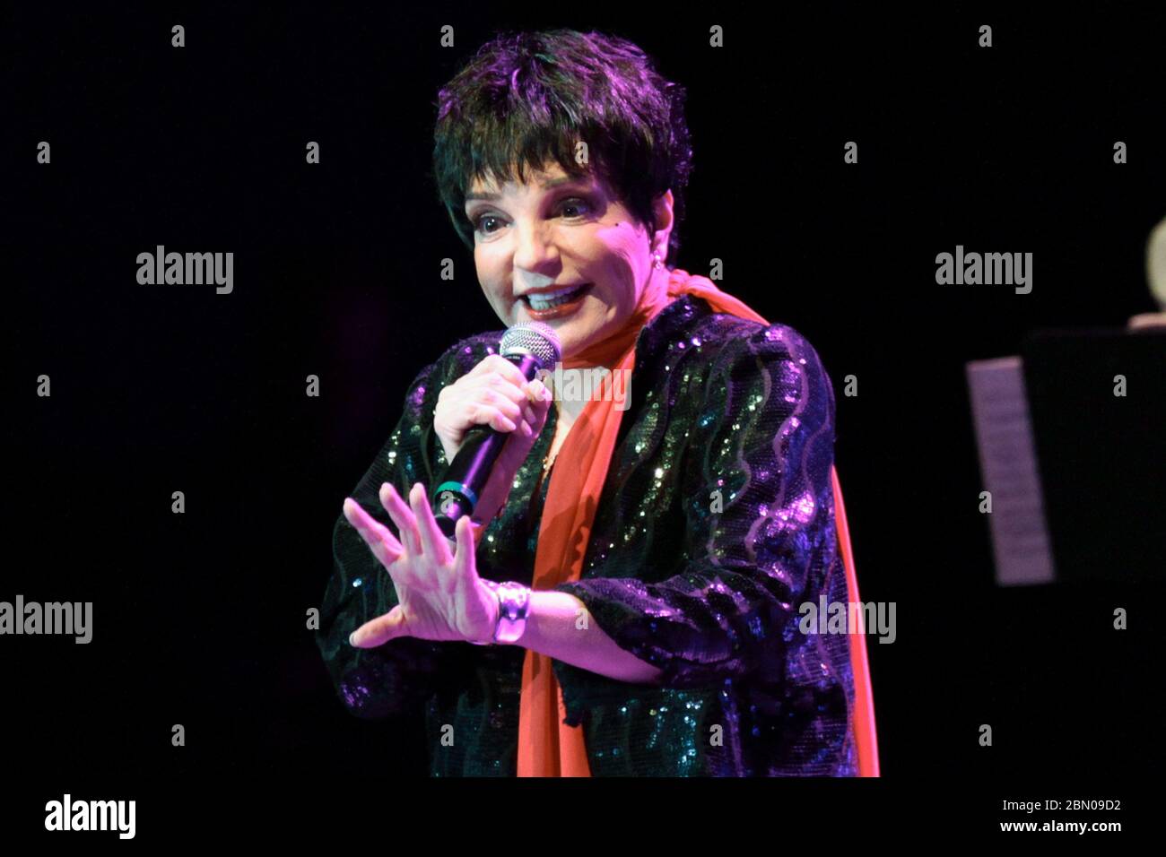RIO DE JANEIRO, 29.09.2012: Liza Minelli tritt in der Citibank Hall in Rio de Janeiro auf (Néstor J. Beremblum / Alamy News) Stockfoto