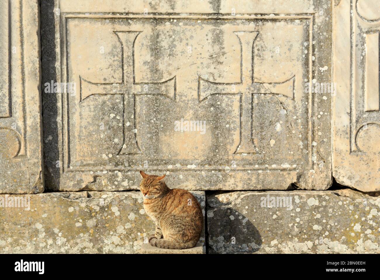 Ephesus, Selcuk Stadt, Izmir Provinz, Türkei Stockfoto