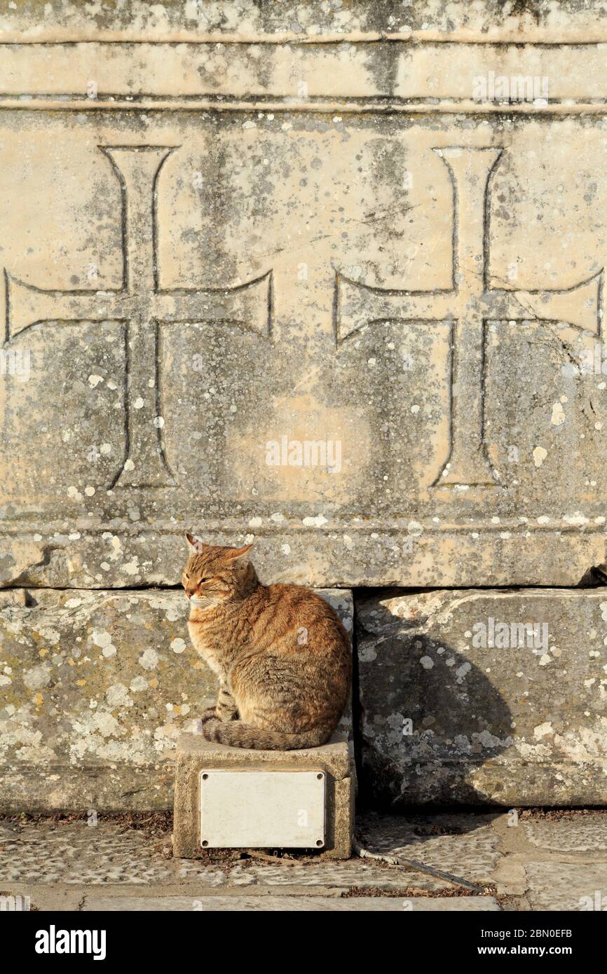 Ephesus, Selcuk Stadt, Izmir Provinz, Türkei Stockfoto