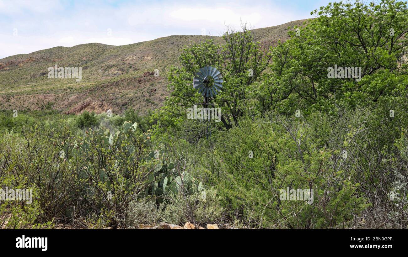 Sam Nail Ranch Wasserpumpe Windmühle ist eine funktionierende Wasserbrunnen Pumpe im Big Bend Nationalpark Stockfoto