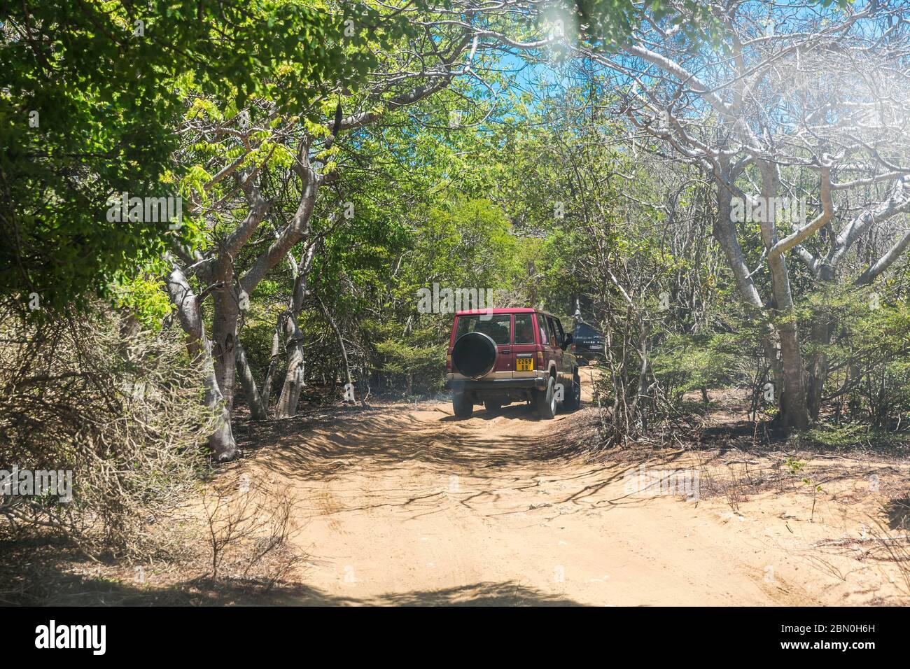 Jeep Safari auf staubigen Straßen, Oronjia Reserve, Antsiranana, Diego Suarez, Madagaskar, Indischer Ozean Stockfoto