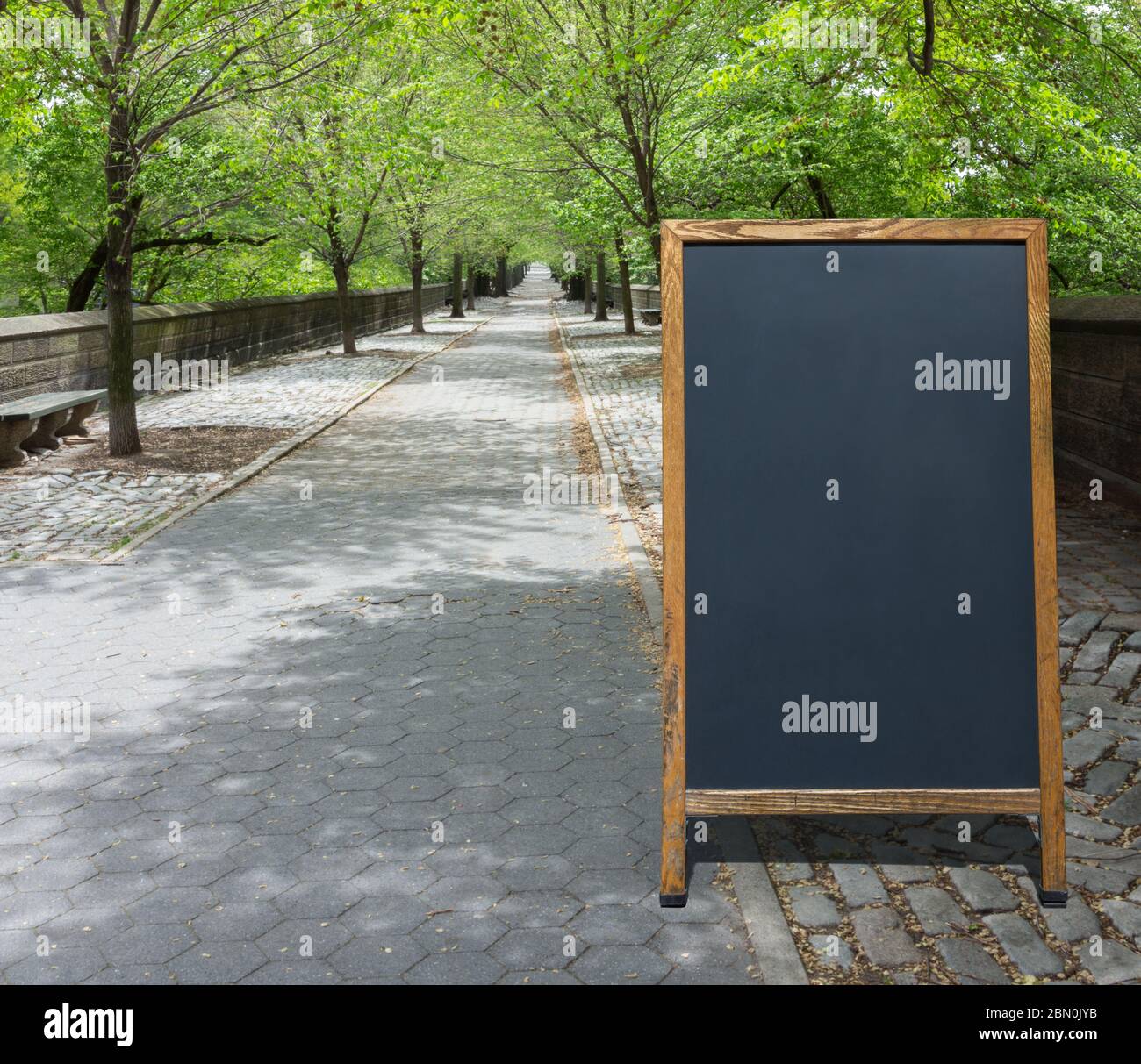 Leeres Schild auf der Gehsteig-Tafel auf einem baumgesäumten, grauen Kopfsteinpflaster-Pfad in einem Park mit Kopierplatz Stockfoto