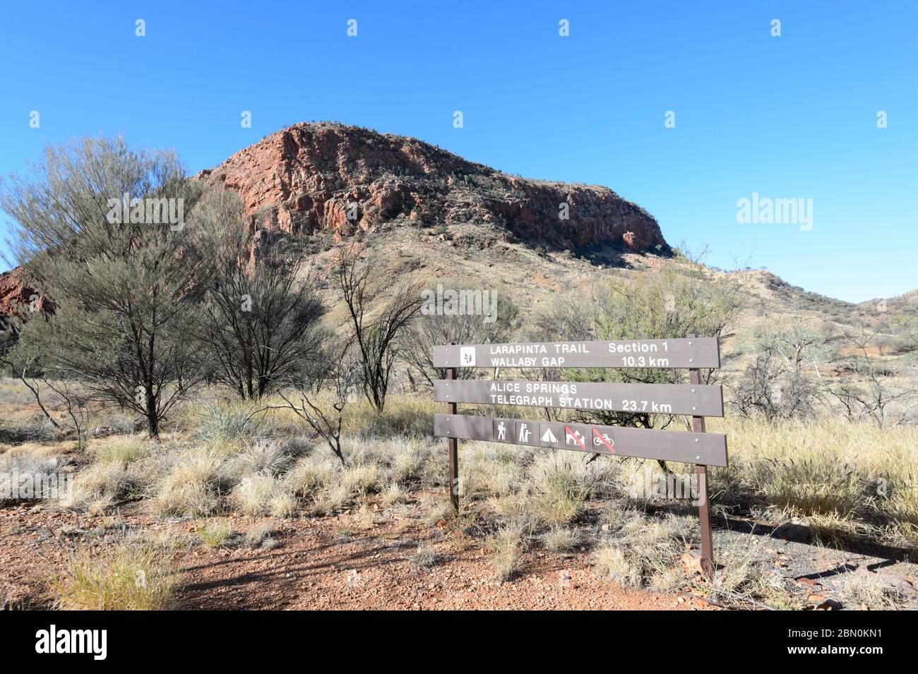 Der berühmte Larapinta Trail ist ein Wanderweg durch die McDonnell Ranges, Alice Springs, Northern Territory, NT, Australien Stockfoto