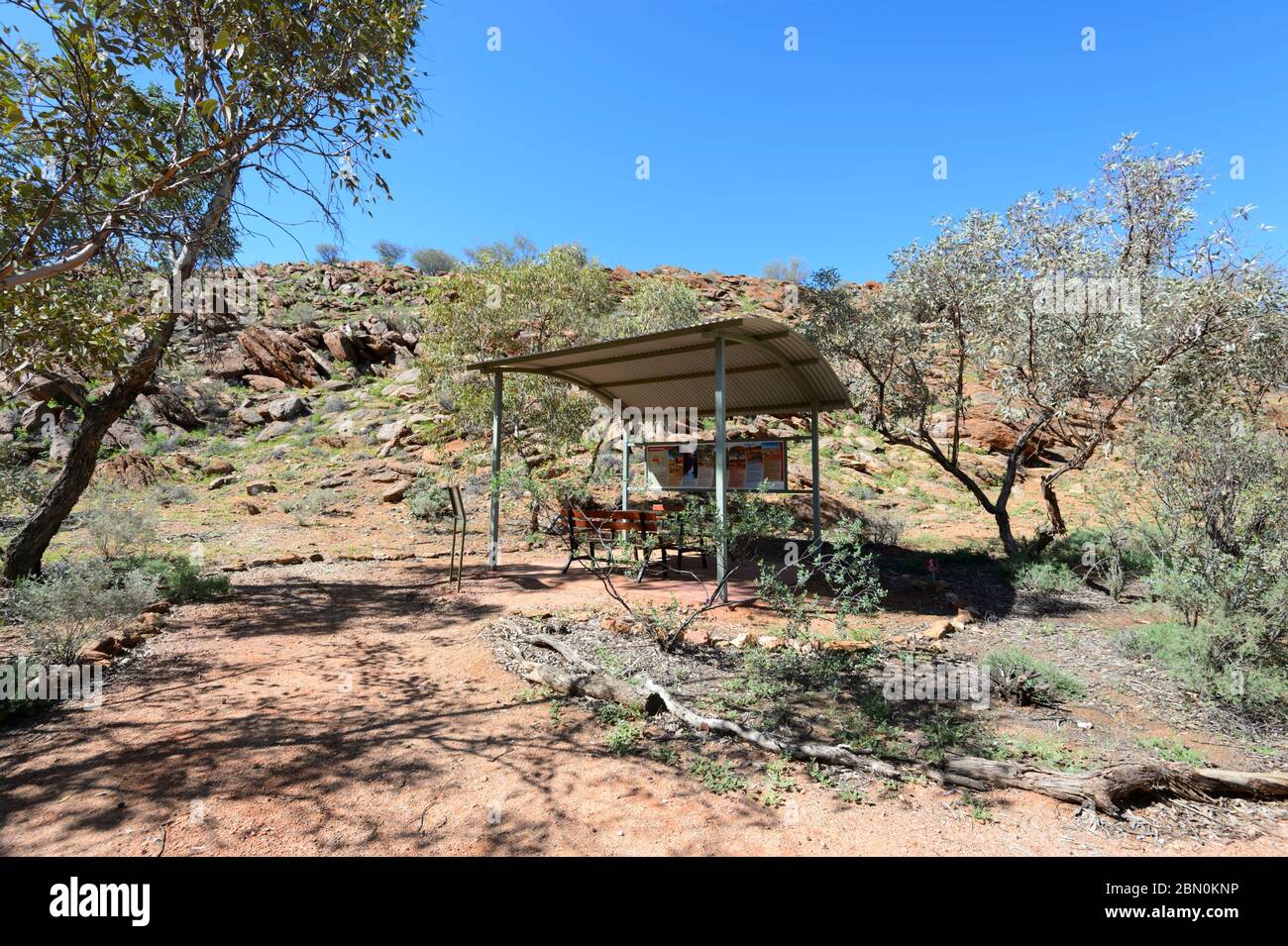 Schattiger Schutz im Olive Pink Botanic Garden, Alice Springs, Northern Territory, NT, Australien Stockfoto