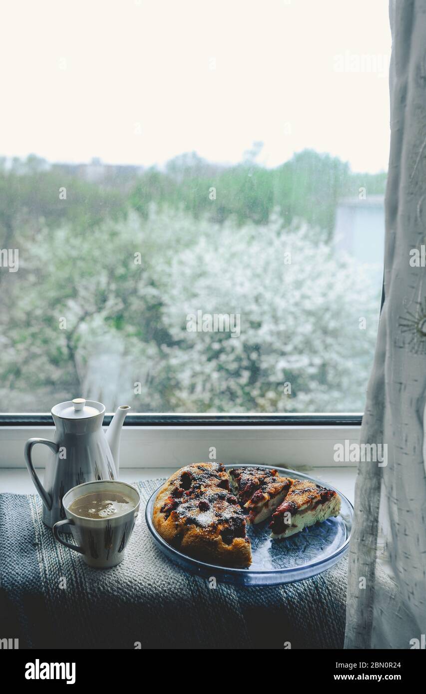 Gemütliches Zuhause Tee-Party am Fenster bei schlechtem Wetter. Porzellan weiße Teekanne und Tasse mit Tee, hausgemachte Beerenkuchen auf einem runden blauen Teller gegen eine blühende tr Stockfoto