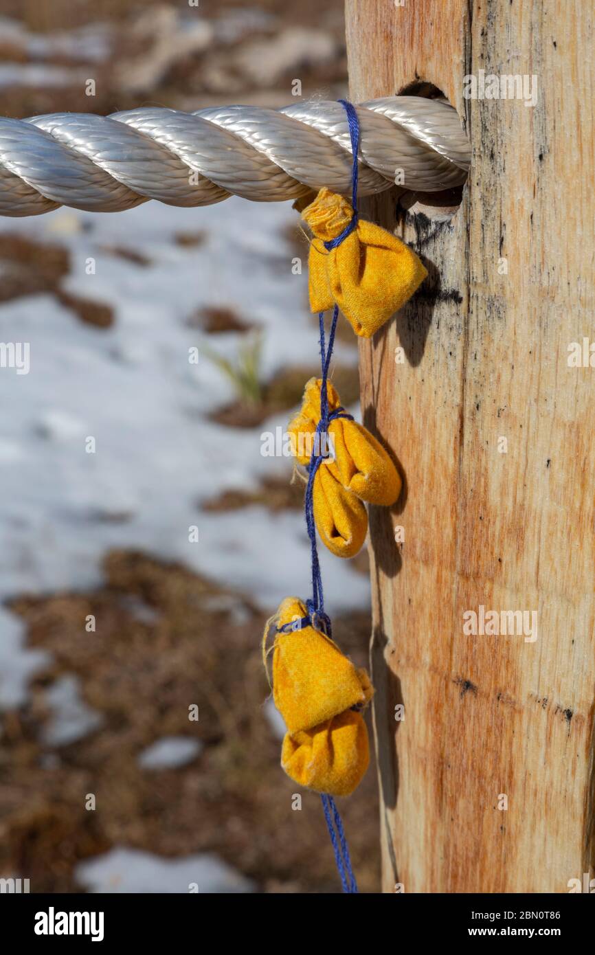 WY04202-00...WYOMING - Arzttaschen, die einem uralten Ureinwohner-Medizinrad Big Horn in Bighorn Nation als Opfergabe überlassen wurden Stockfoto