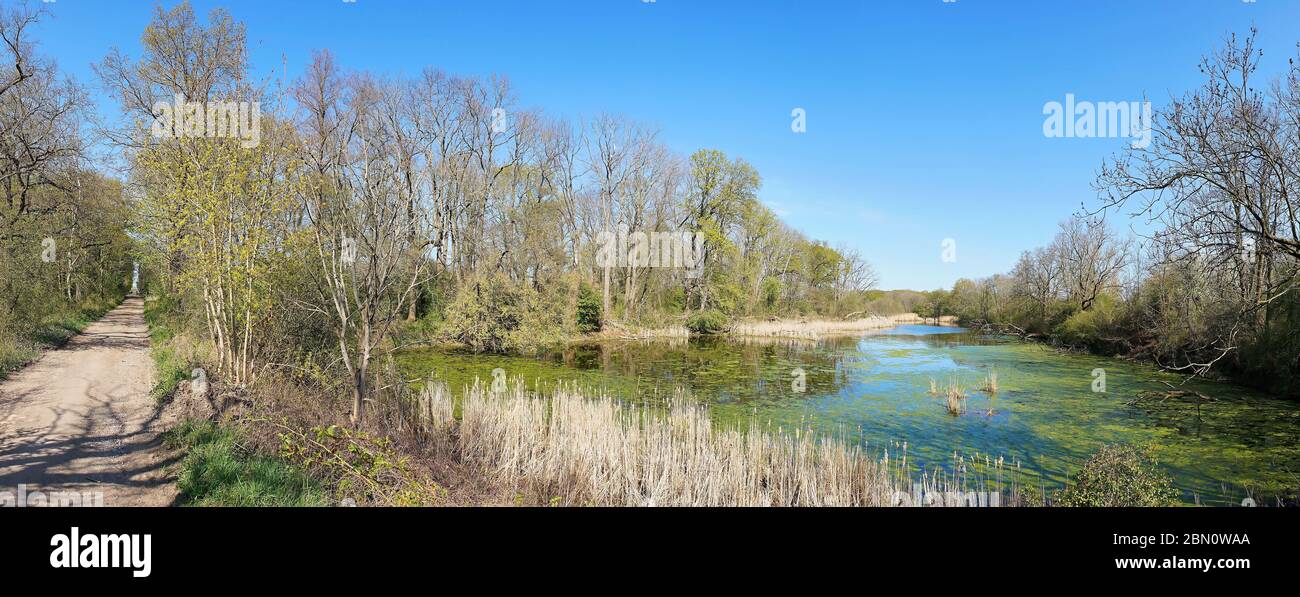 Idyllischer See im Naturschutzgebiet Kreuzhorst bei Magdeburg in Deutschland Stockfoto