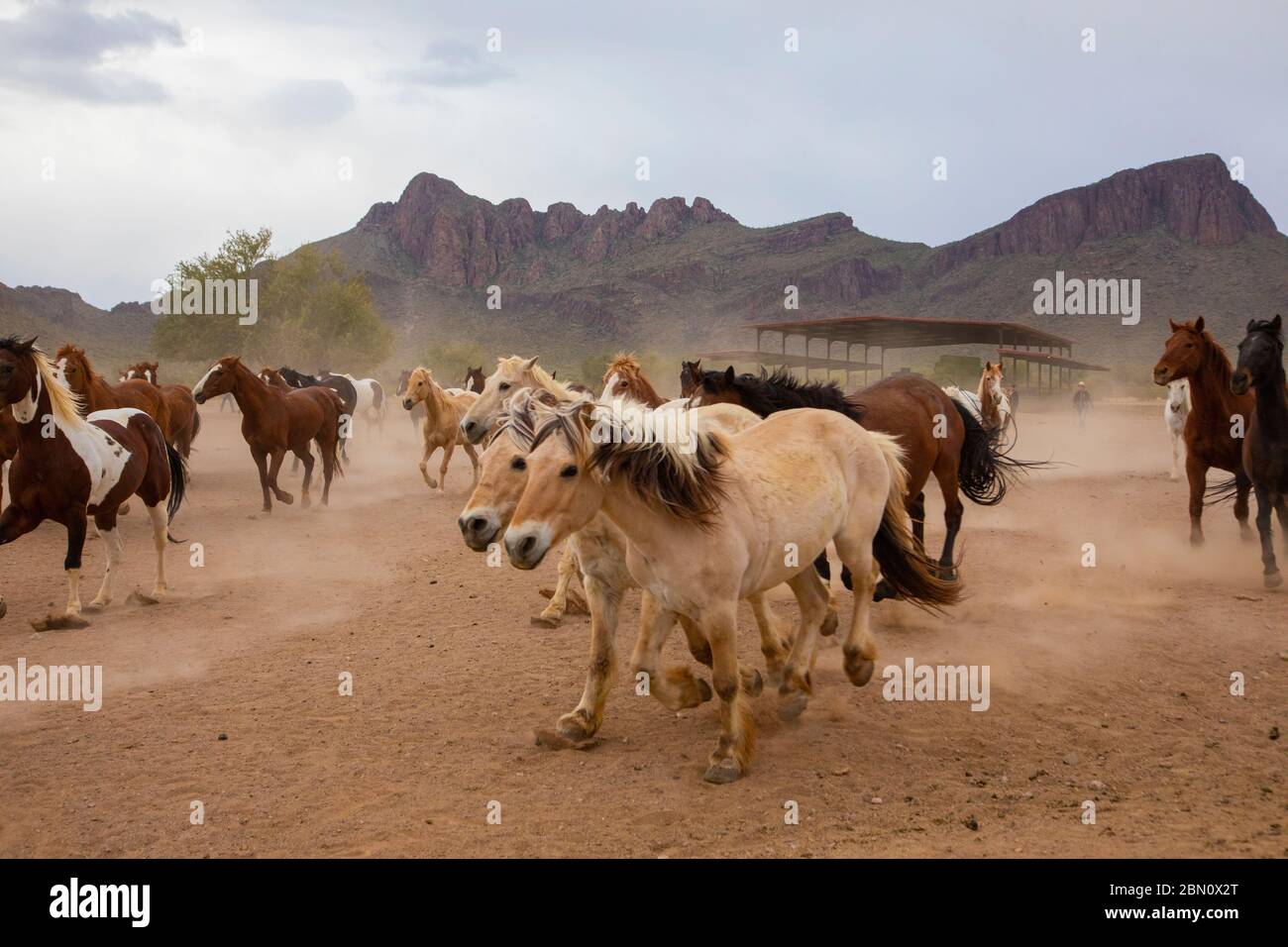 White Stallion Ranch, Tucson, Arizona. Stockfoto
