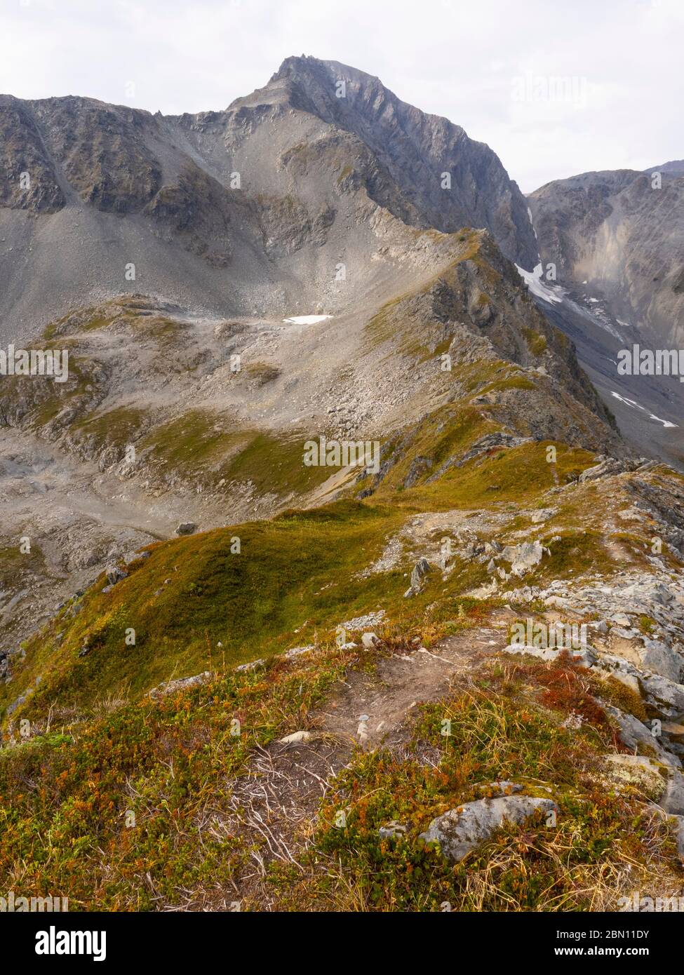 Bear Mountain, oberhalb der Resurrection Bay, Seward, Alaska. Stockfoto