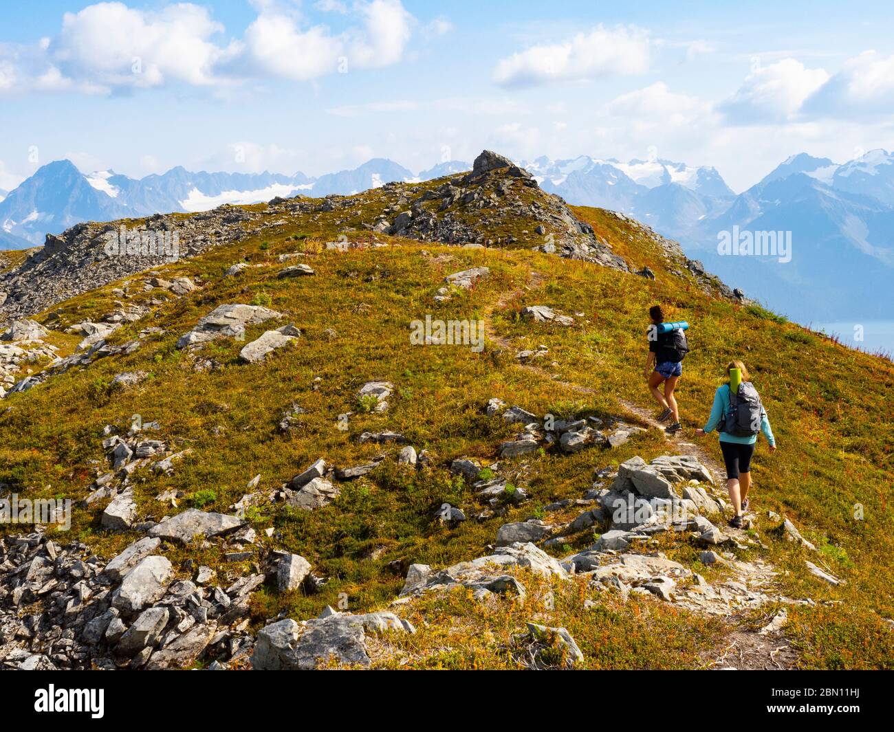 Yoga in den Bergen oberhalb der Resurrection Bay, Seward, Alaska. Stockfoto