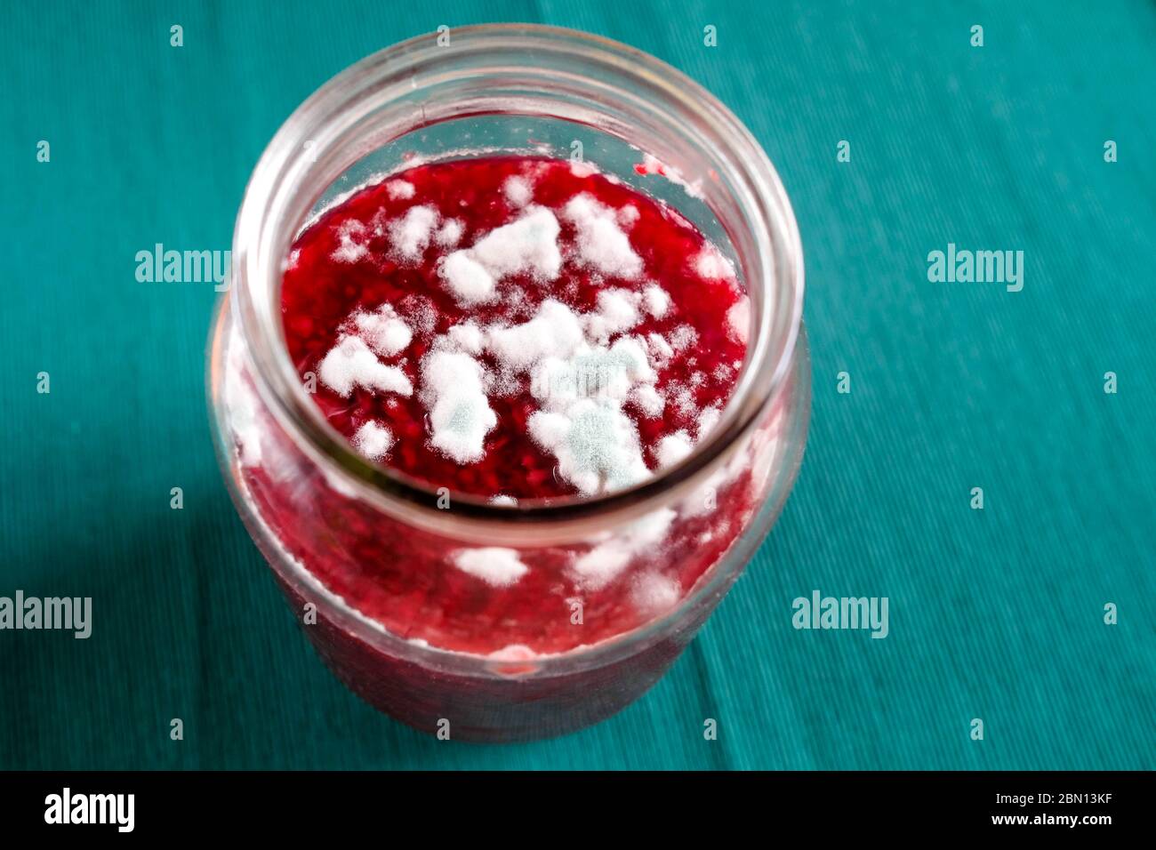 Pilze wachsen auf Marmelade. Verdorbenes Produkt in einem Glasgefäß. Blick von oben. Stockfoto