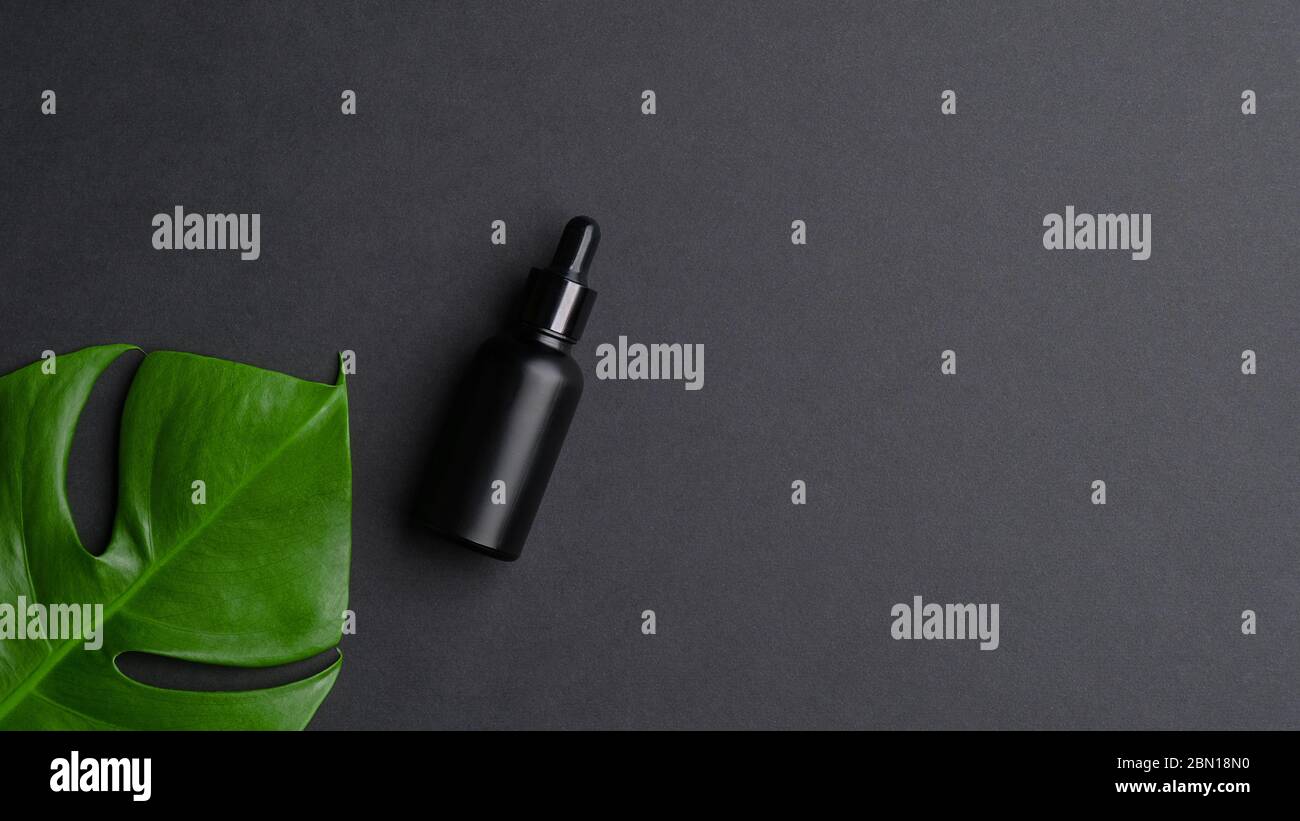Schwarzes aromatisches Öl Flasche Mockup mit Monstera Palmblatt. Aromatherapie Massage ätherisches Öl, Serum Lotion, natürliche organische Kosmetik. Flaches Lay, oben vi Stockfoto