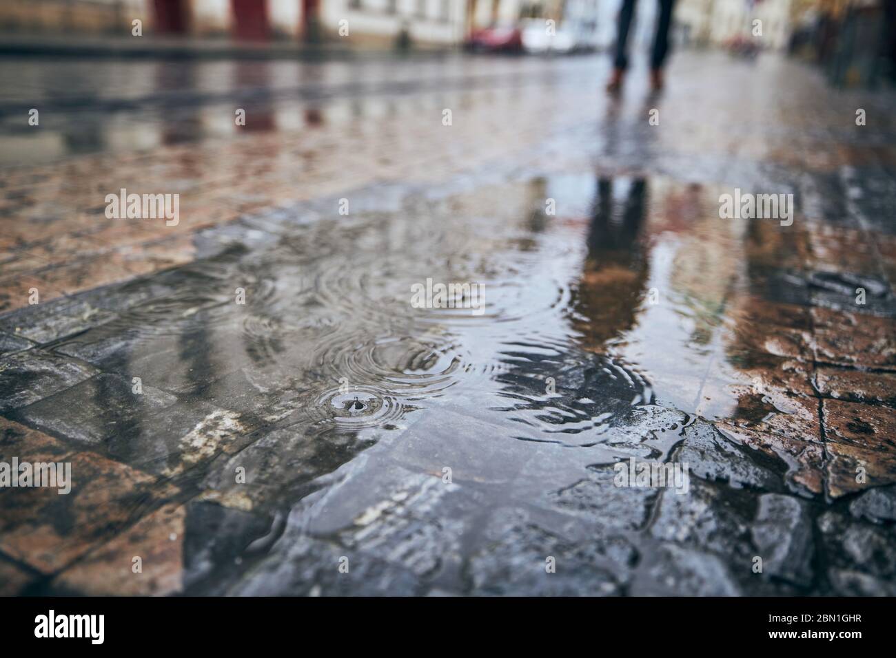 Regen in der Stadt. Nahaufnahme der Pfütze auf der Straße der Stadt und Spiegelung des Menschen mit Regenschirm. Düsterer Tag in Prag, Tschechien. Stockfoto