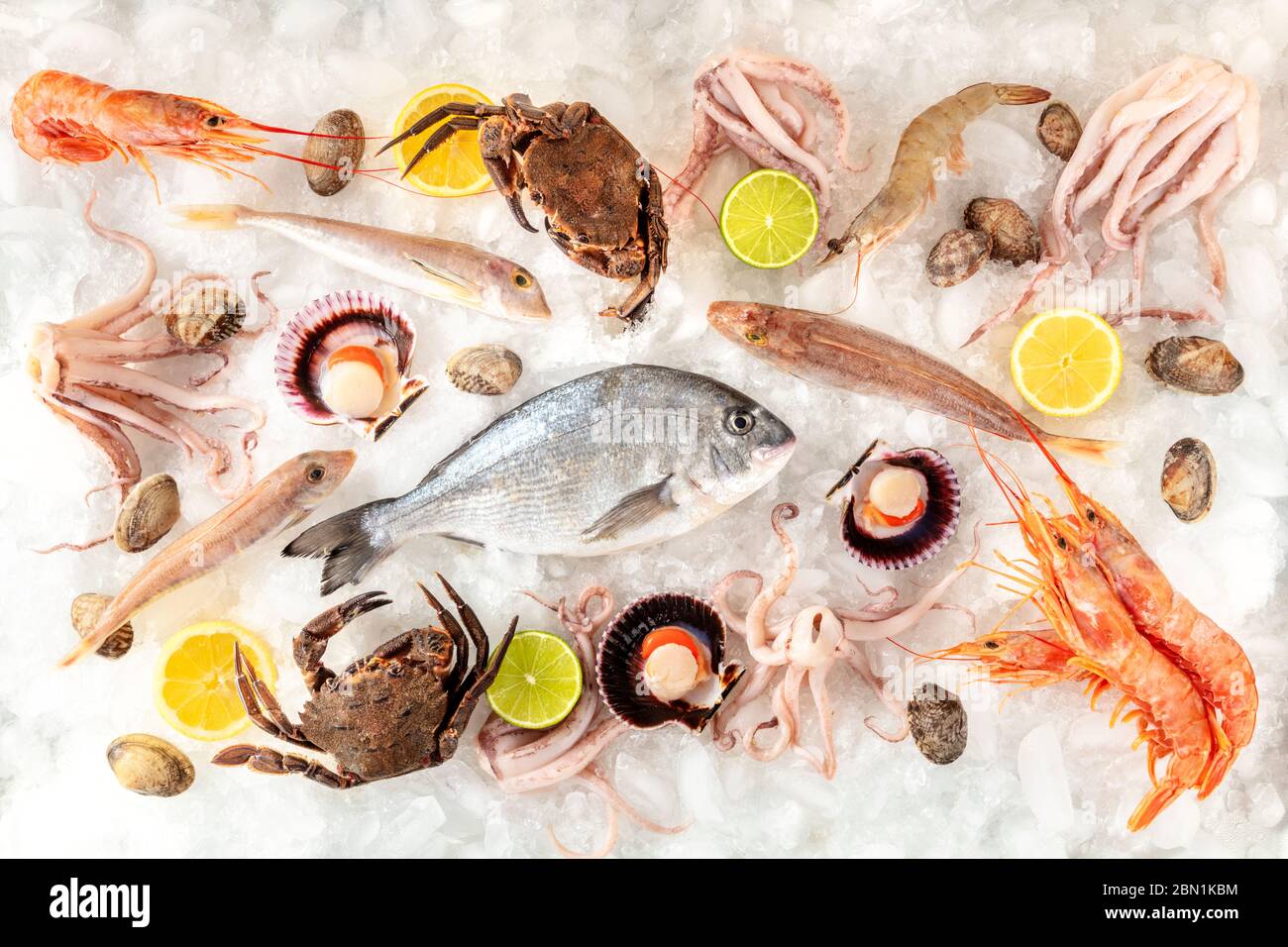 Fisch- und Meeresfrüchtevielfalt flach gelegt, von oben auf weißem Hintergrund geschossen, auf Eis, mit Zitronen und Limetten Stockfoto