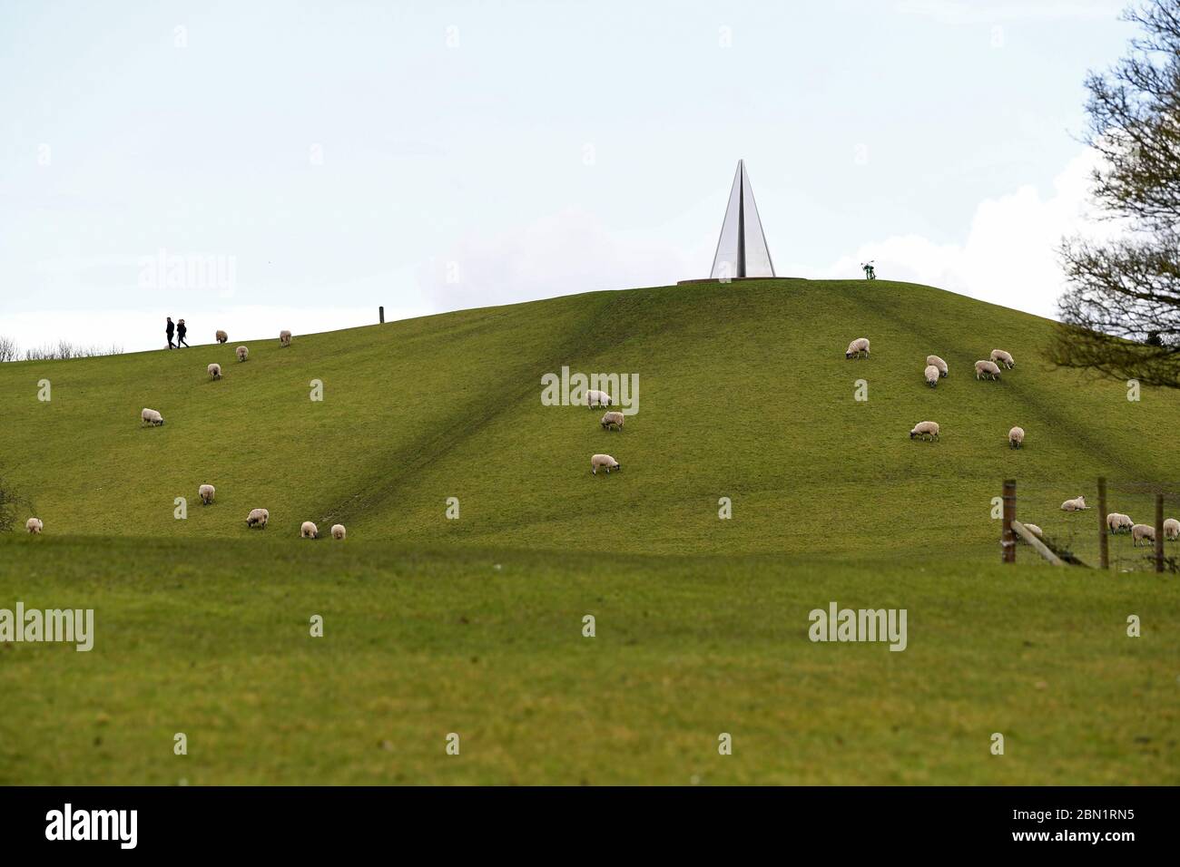 Schafe weiden unterhalb der Campbell Park Felder auf einem Hügel bei der Lichtpyramide Stockfoto