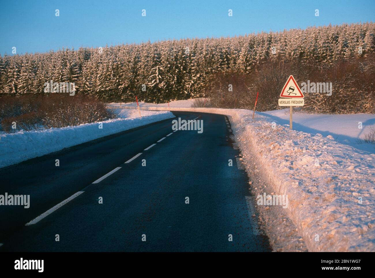 Die tannen Fotos und Bildmaterial in hoher Auflösung Alamy