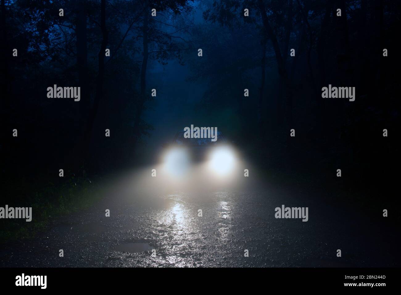Eine gruselige Waldstraße mit Autoscheinwerfern, die durch den Nebel scheinen. Stockfoto