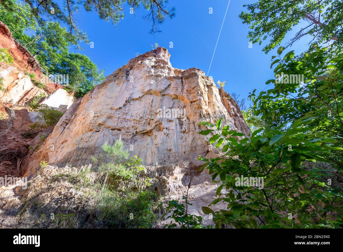 Blick durch die Bäume am Providence Canyon in Stewart County, Georgia Stockfoto