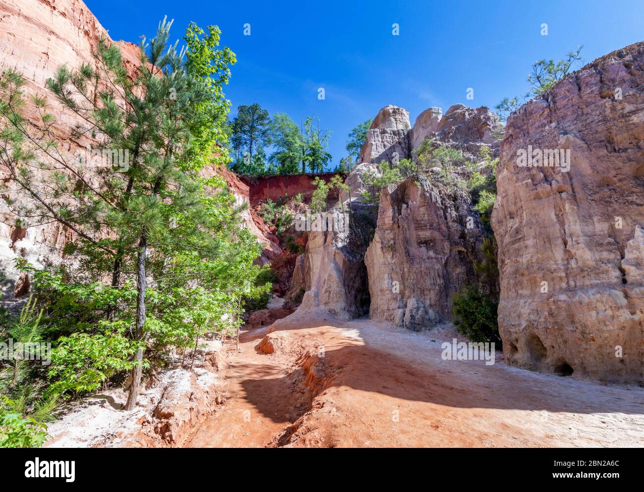 Erstaunliche Sehenswürdigkeiten durch Providence Canyon in Stewart County, Georgia Stockfoto