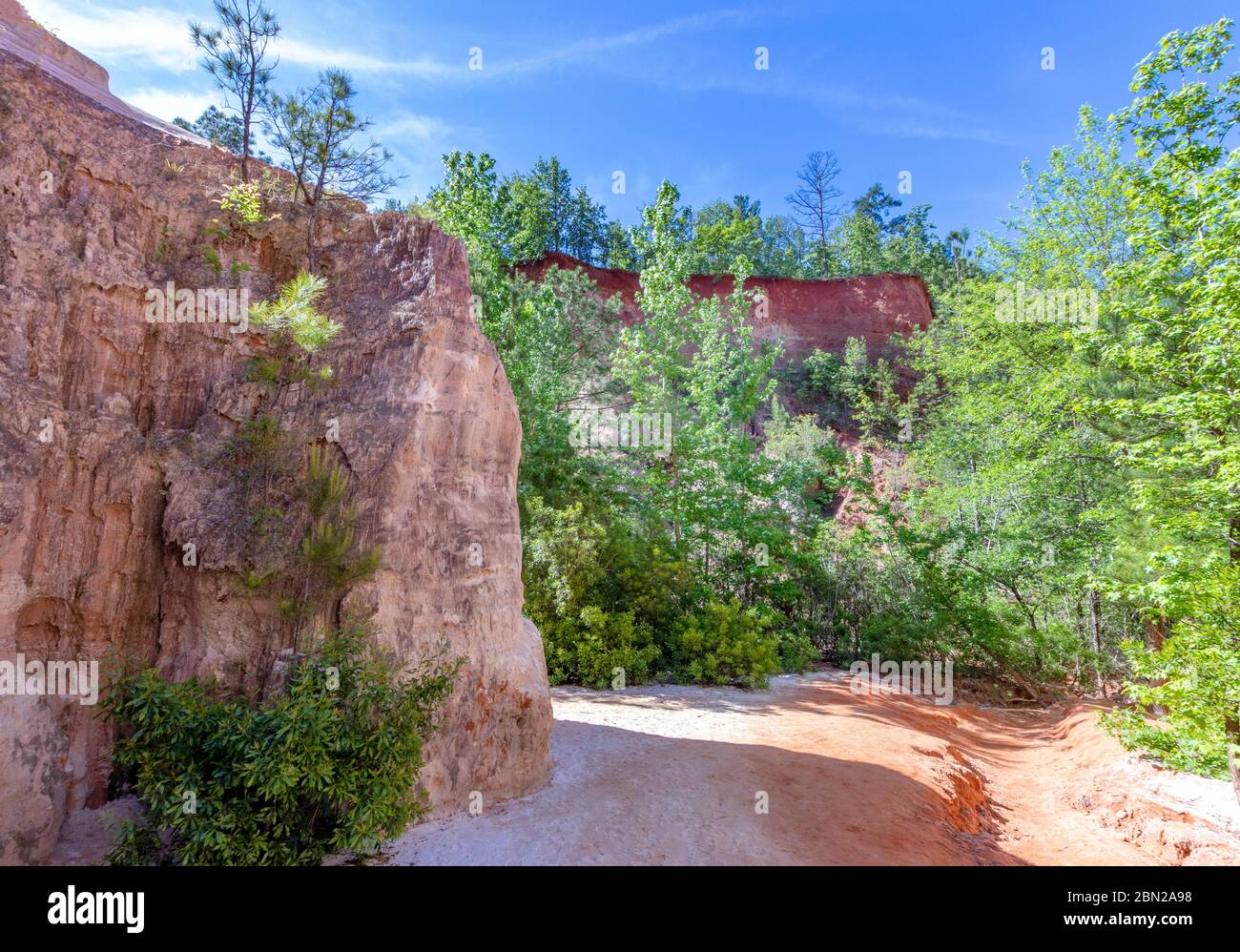 Der Frühling ist eine tolle Zeit, um Providence Canyon zu besuchen, aber Sie werden durch Wasser wandern, wenn Sie die Canyons wandern Stockfoto