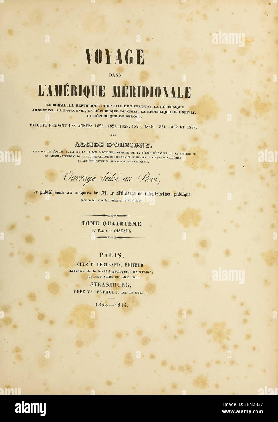 Titelblatt und Titelblatt handkolorierte Skizze aus dem Buch 'Voyage dans l'Amérique Méridionale' [Reise nach Südamerika: (Brasilien, die östliche republik Uruguay, die Argentinische Republik, Patagonien, die republik Chile, die republik Bolivien, die republik Peru), hingerichtet in den Jahren 1826 - 1833] 4. Band Teil 3 von: Orbigny, Alcide Dessalines d', d'Orbigny, 1802-1857; Montagne, Jean François Camille, 1784-1866; Martius, Karl Friedrich Philipp von, 1794-1868 Veröffentlicht Paris :Chez Pitois-Levrault et c.e ... ;1835-1847 Stockfoto