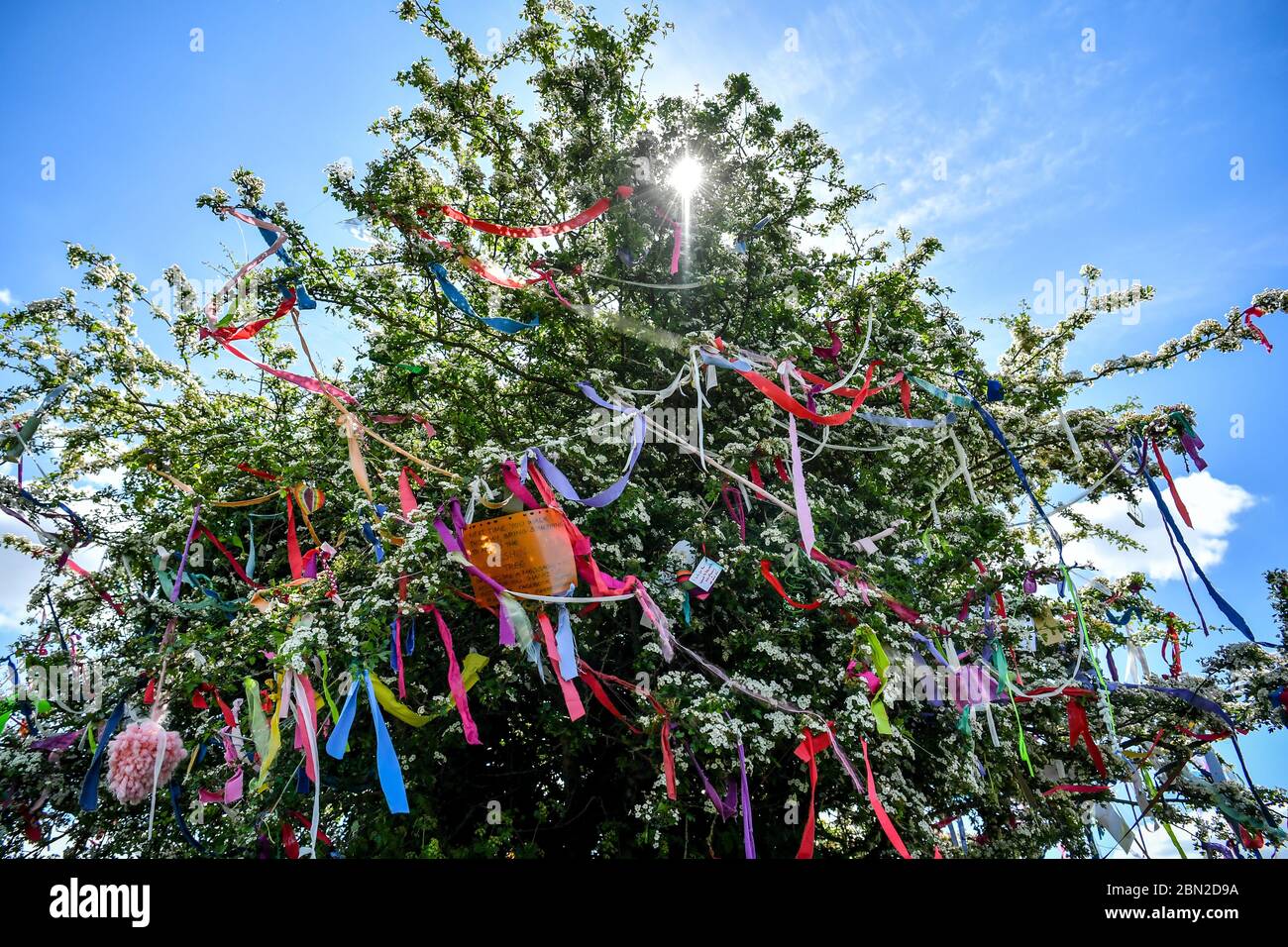 Bänder hängen von einem Wunschbaum, der auch mit Botschaften und Gedichten geschmückt ist, sind auf Clifton Downs, Bristol, erschienen, wo Coronavirus-Botschaften und Gefühle der Hoffnung und Positivität durch bunte Bänder an den Baum gebunden wurden. Stockfoto