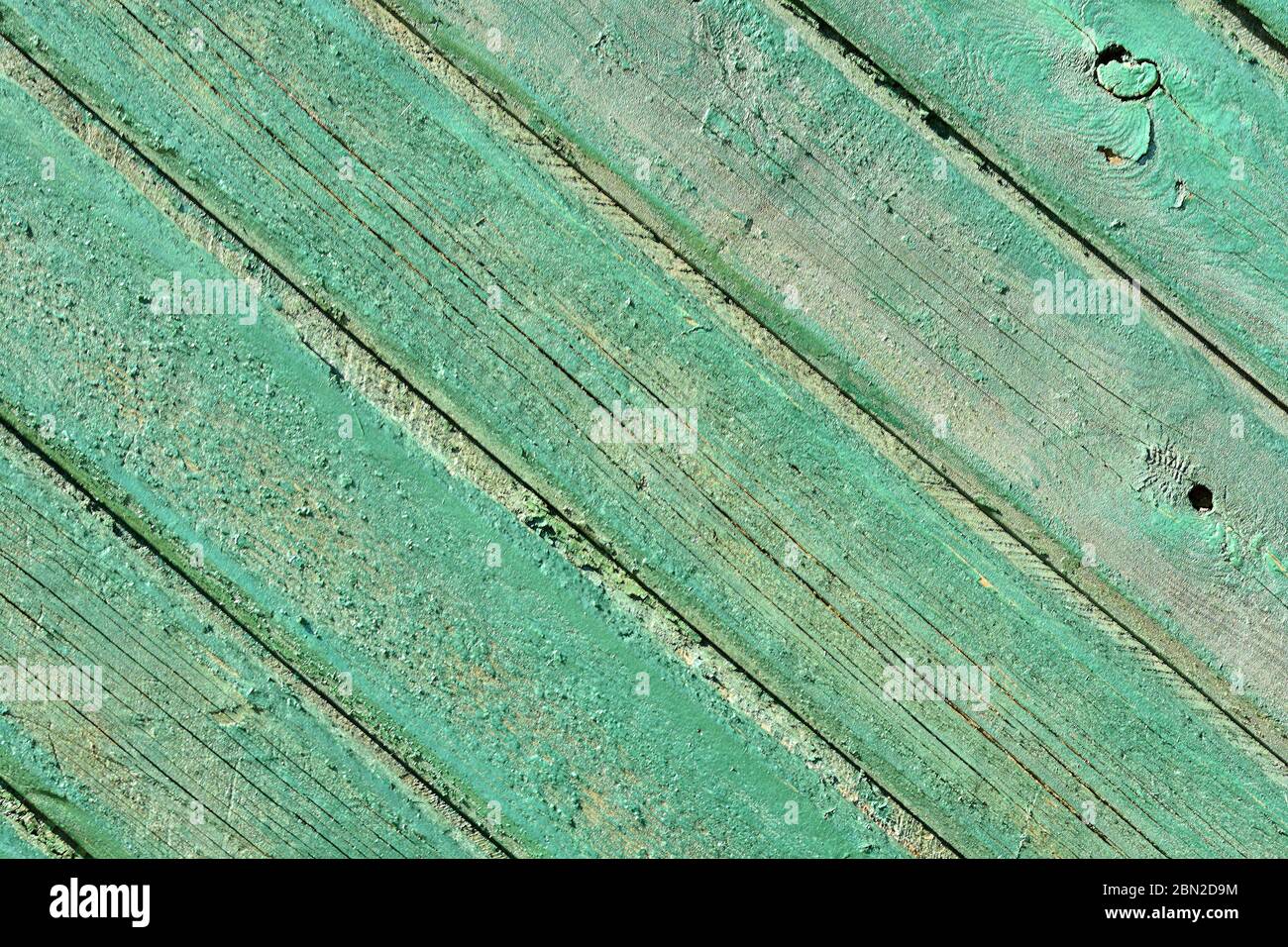 Natürliche grüne Holzstruktur mit einer Reihe von Knoten und Linien. Stockfoto