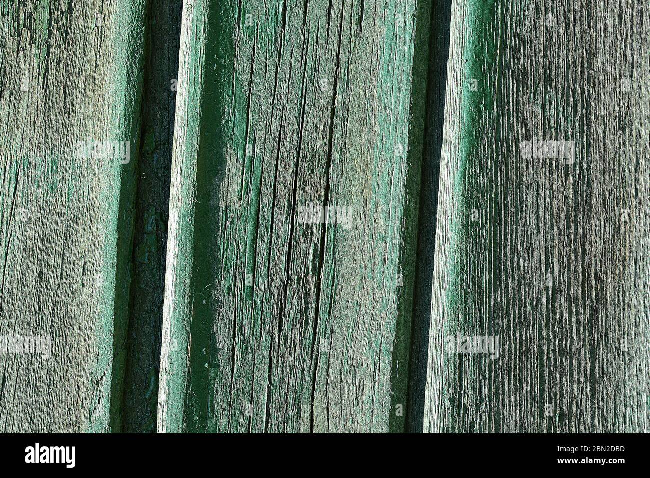 Natürliche grüne Holzstruktur mit einer Reihe von Knoten und Linien. Stockfoto