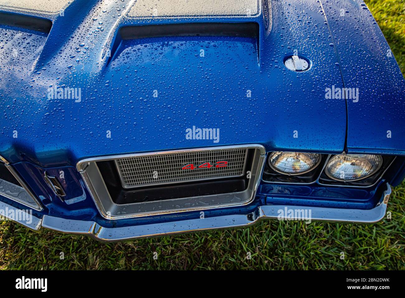 Daytona Beach, FL - 24. November 2018: Blue 1972 Oldsmobile Cutlass 442 beim Herbst 2018 Daytona Turkey Run. Stockfoto