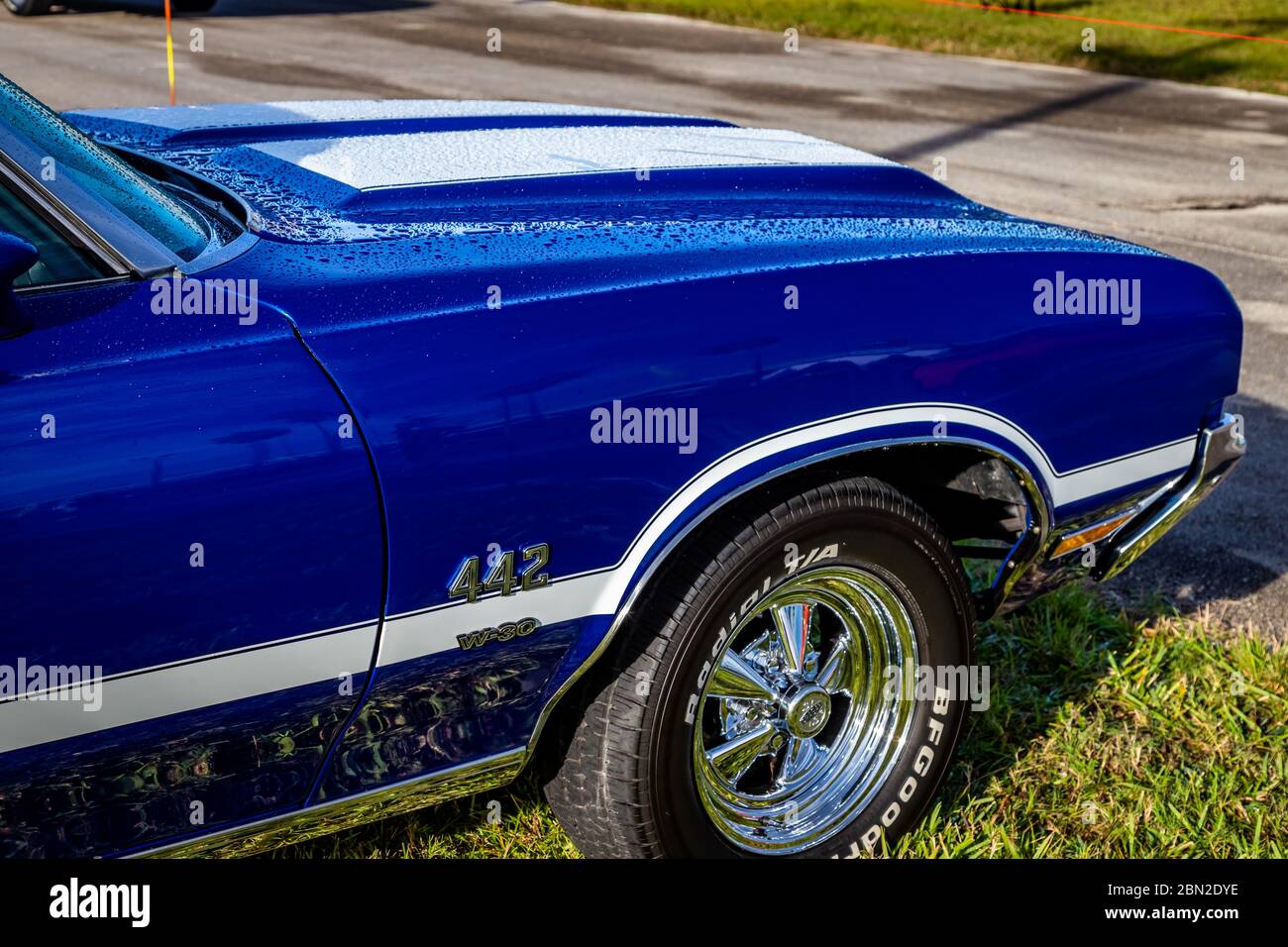 Cutlass Stockfotos Und Bilder Kaufen Seite 2 Alamy