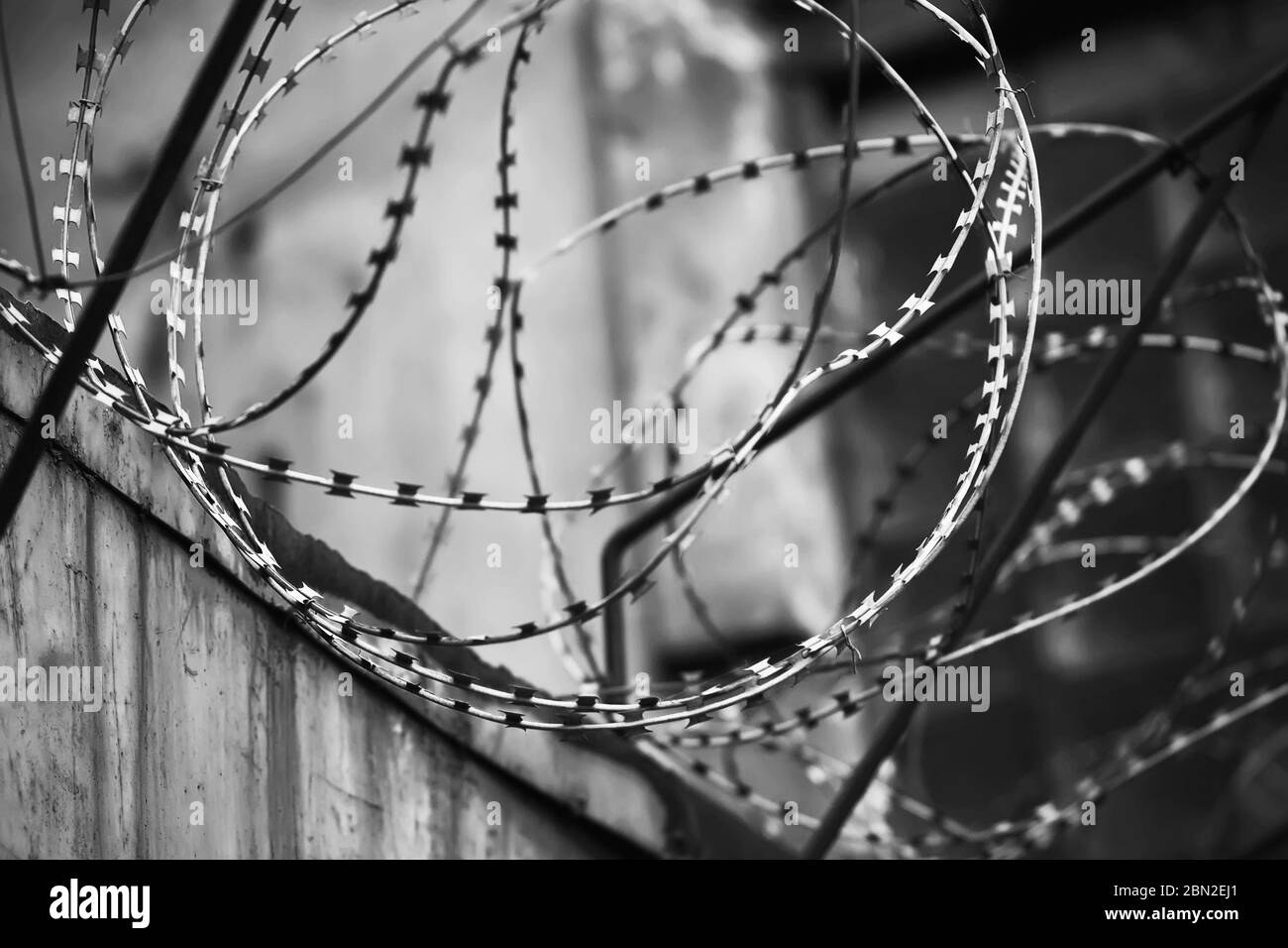 Schwarz-weiß-Bild eines Stacheldrahtes, der auf einer Betonwand gewickelt ist. Der Zaun des Gefängnisses. Einengung und Mangel an Freiheit. Stockfoto