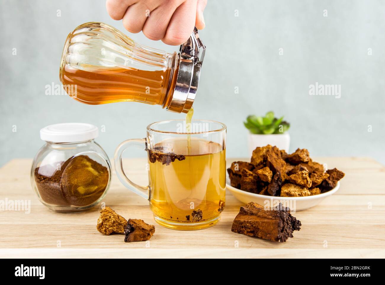 Person Maind Tee trinken mit wilden natürlichen Chaga Pilz aus Birke, Inonotus obliquus Stücke in Teeglas auf Holztisch im Haus. Stockfoto