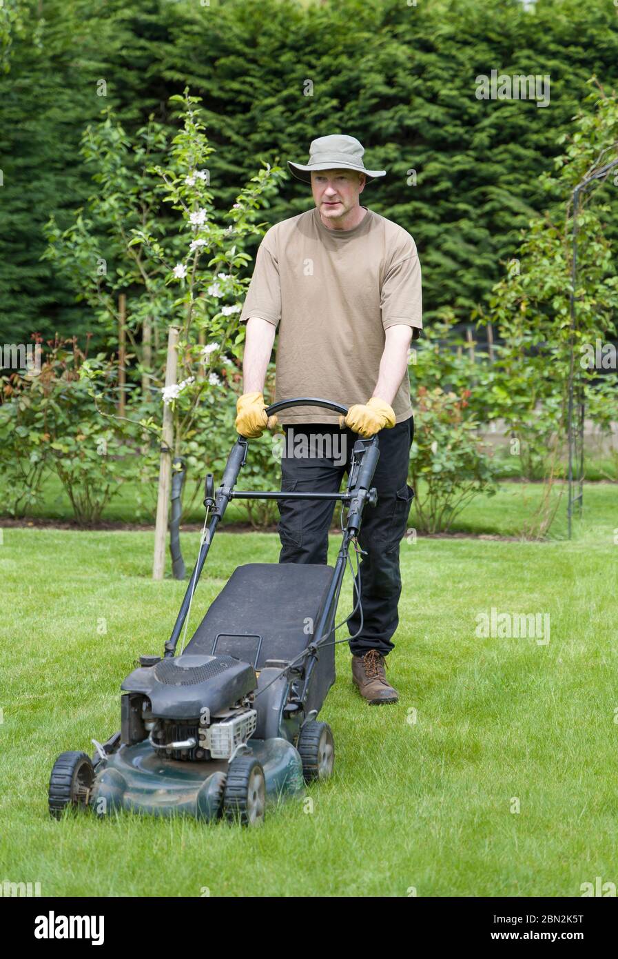 Männlicher Gärtner mäht einen Rasen in einem Garten mit einem Benzinrasenmäher, Großbritannien Stockfoto