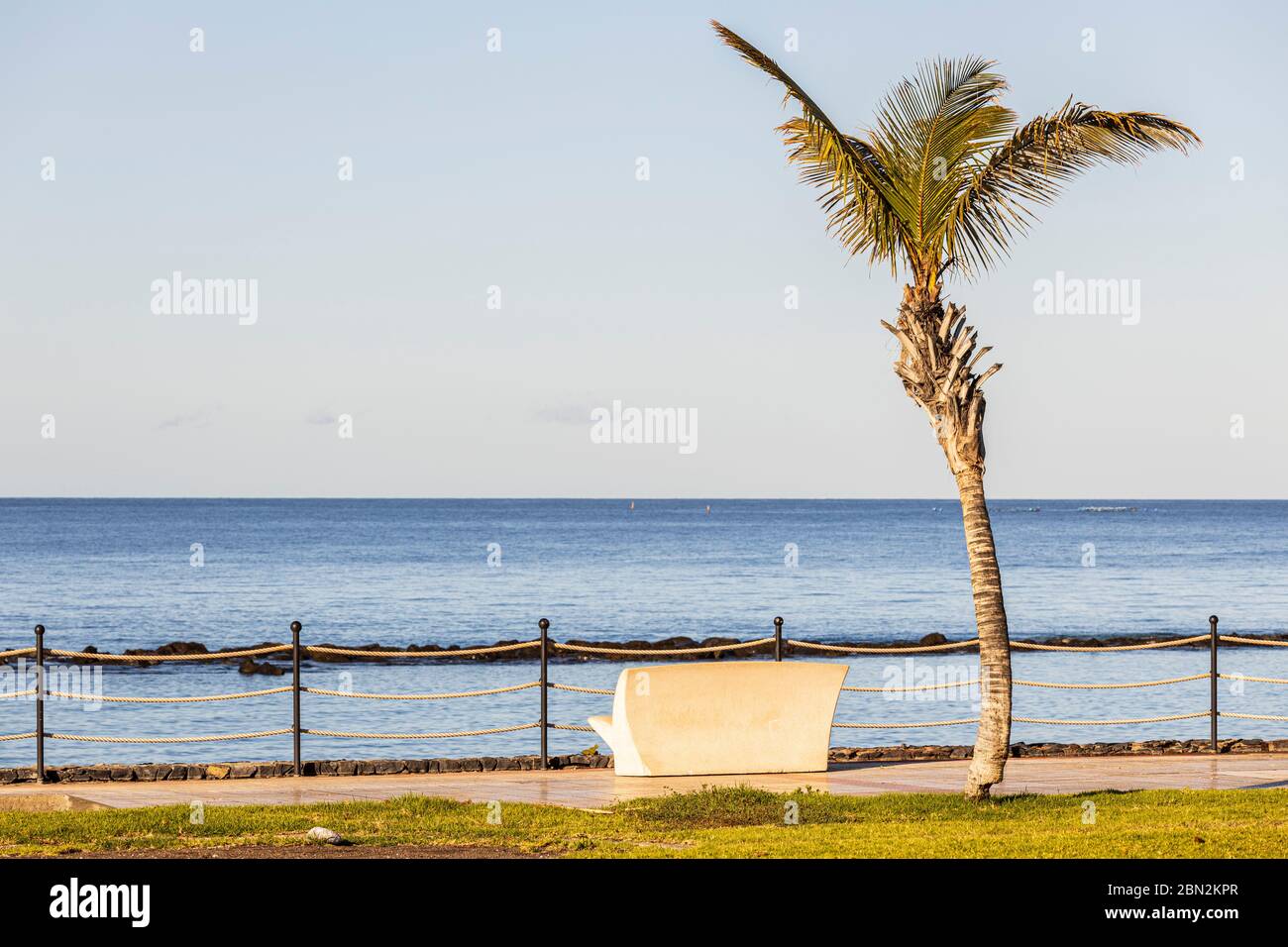 Palme und Betonbank auf der Strandpromenade, Promenade, Playa Beril, Costa Adeje, Teneriffa, Kanarische Inseln, Spanien Stockfoto