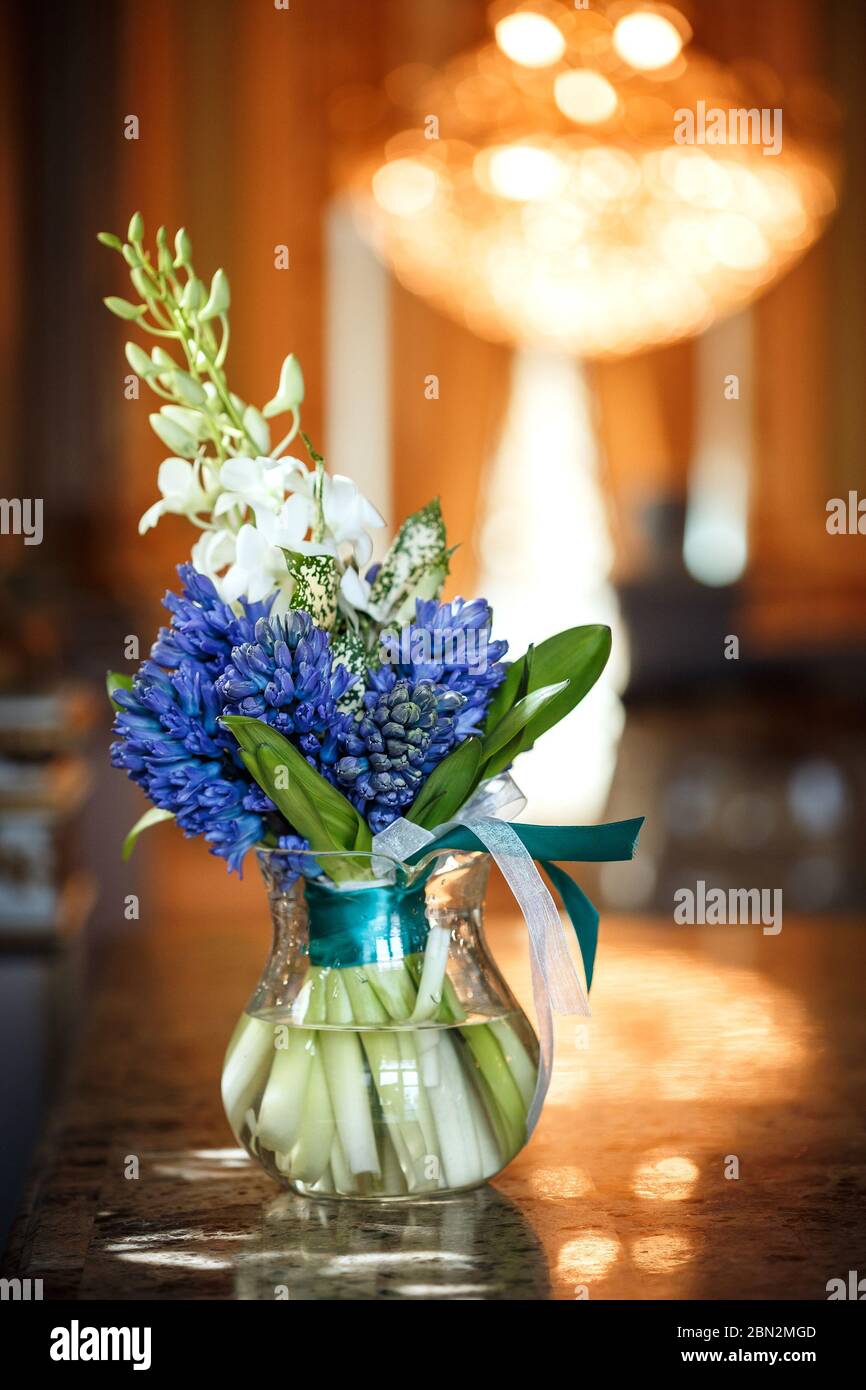 Luxuriöser Bouquet mit schönen blauen Hyazinthen in herrlicher Innenausstattung, Brautblumen Stockfoto