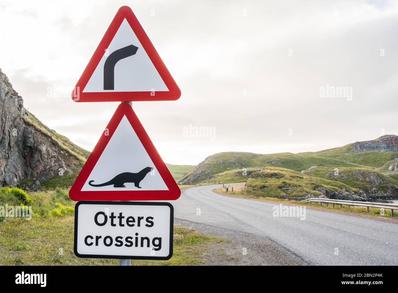 Gefährliche rechte Kurve und Otter, die voraus kreuzen. Rotes Warnschild entlang einer Autobahn im schottischen Hochland. Schottland, Großbritannien, an einem bewölkten Tag Stockfoto