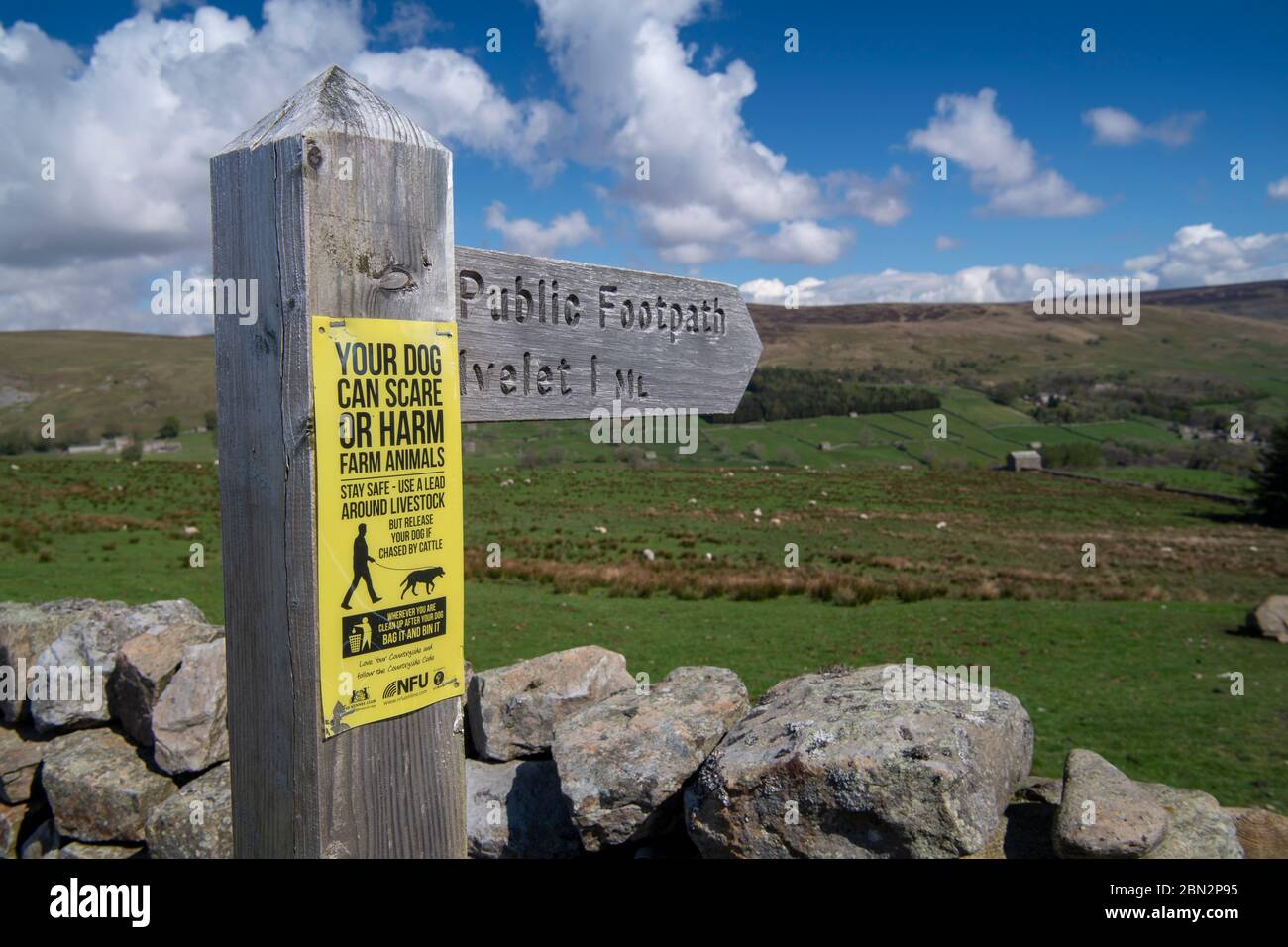 Schild auf einem öffentlichen Fußweg Schild, Warnung vor dem Zulassen Hunde ihrer führt um Vieh. Yorkshire Dales National Park, Großbritannien. Stockfoto