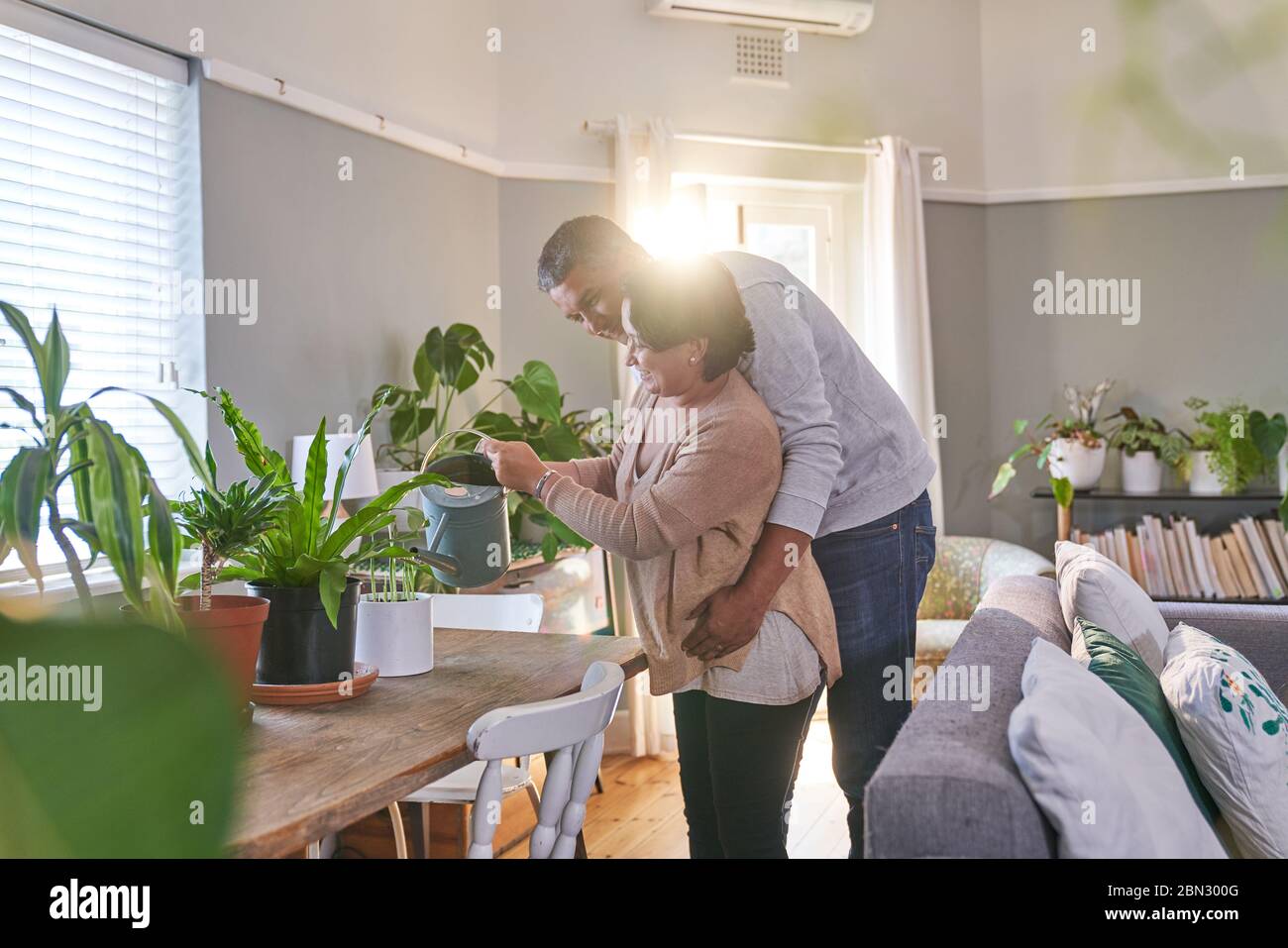 Liebevolles Paar, das sich um Zimmerpflanzen im Speisesaal schiert Stockfoto