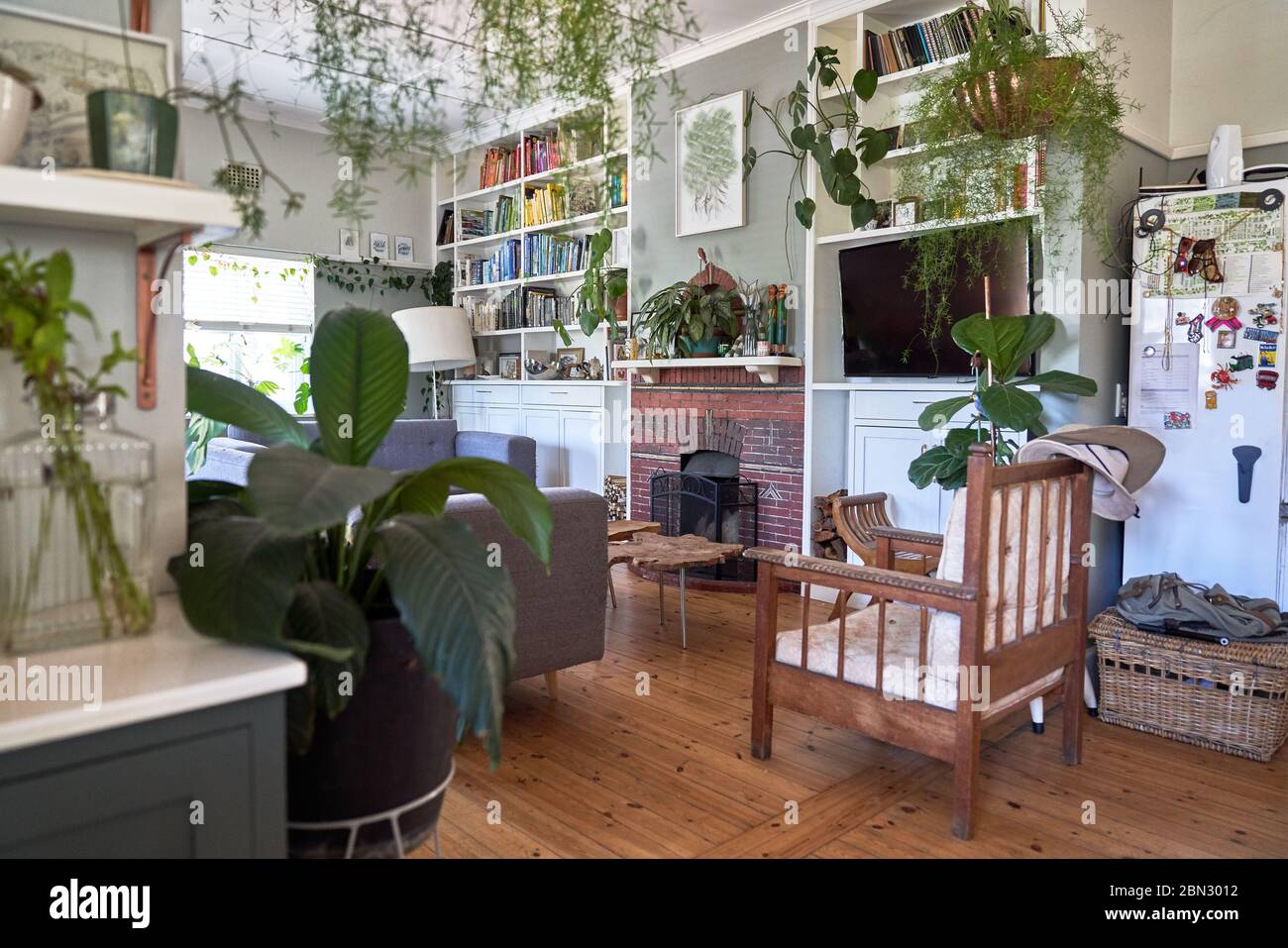 Zimmerpflanzen im Wohnzimmer Stockfoto