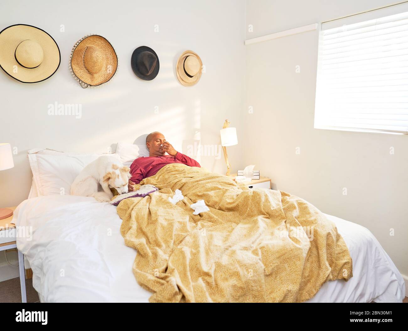 Kranker Mann, der Nase mit Geweben im Bett bläst Stockfoto