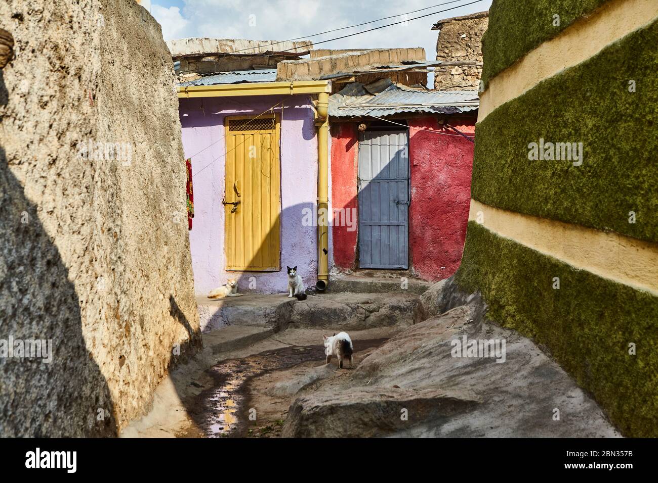 Drei Katzen zu Hause in einem bunten Innenhof mit einem unebenen Boden. Stockfoto