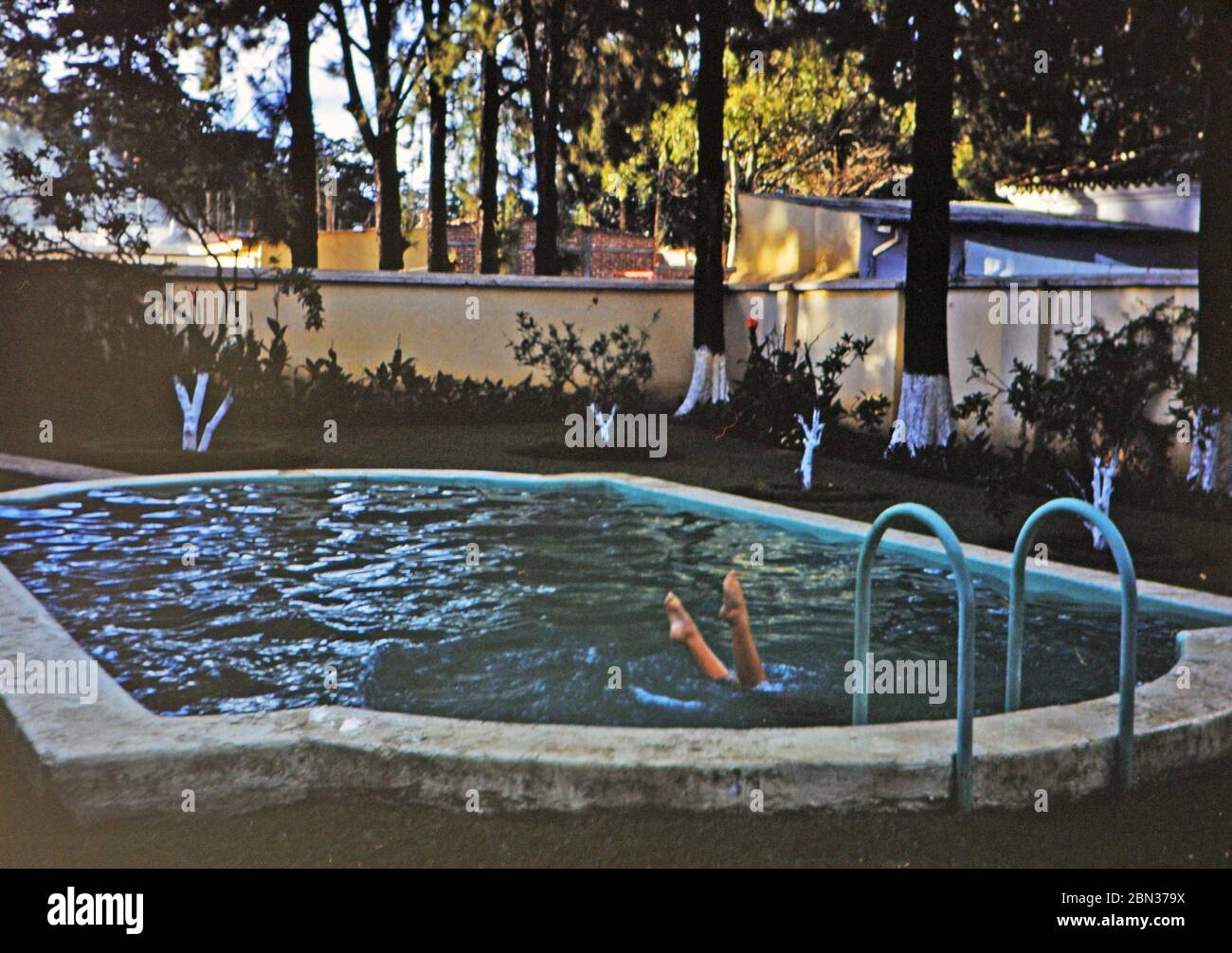 Schwimmer im Pool, Beine ragen aus dem Wasser ca. 1960-1963 Stockfoto