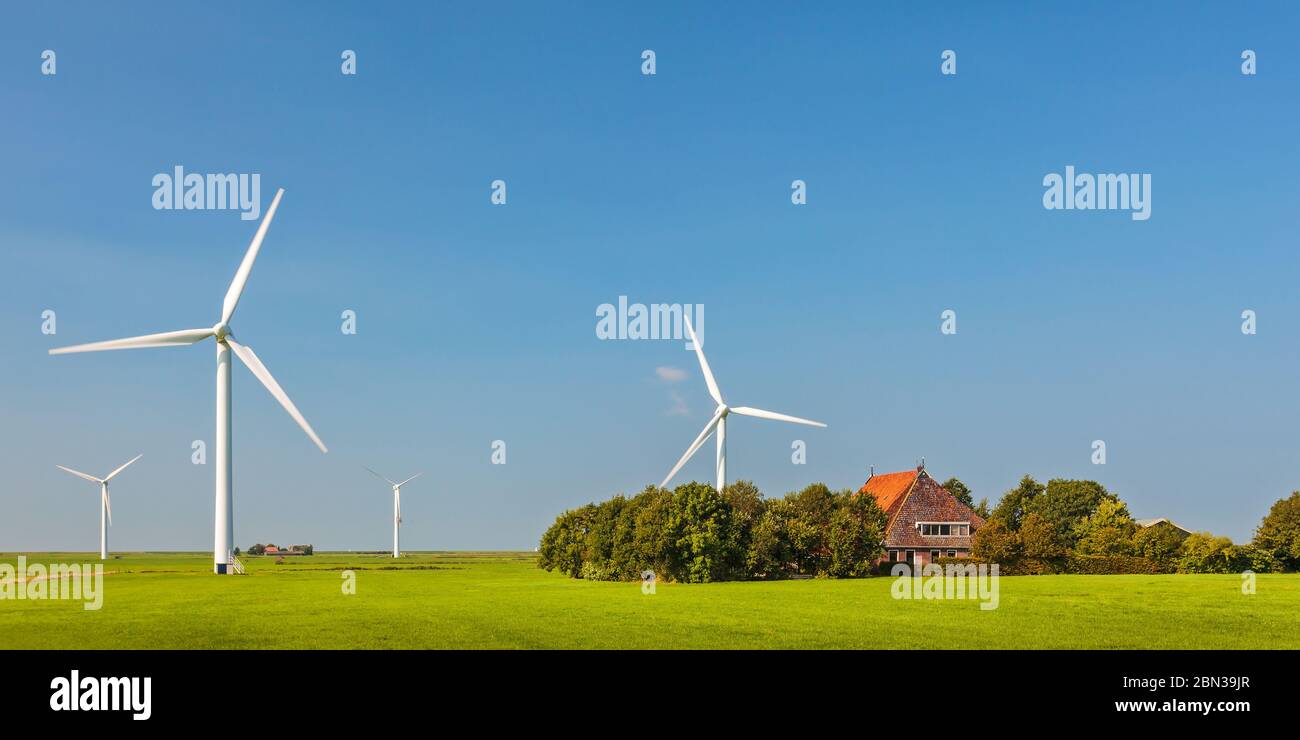 Panoramabild eines niederländischen Bauernhofs mit Windkraftanlagen in der Provinz Friesland Stockfoto