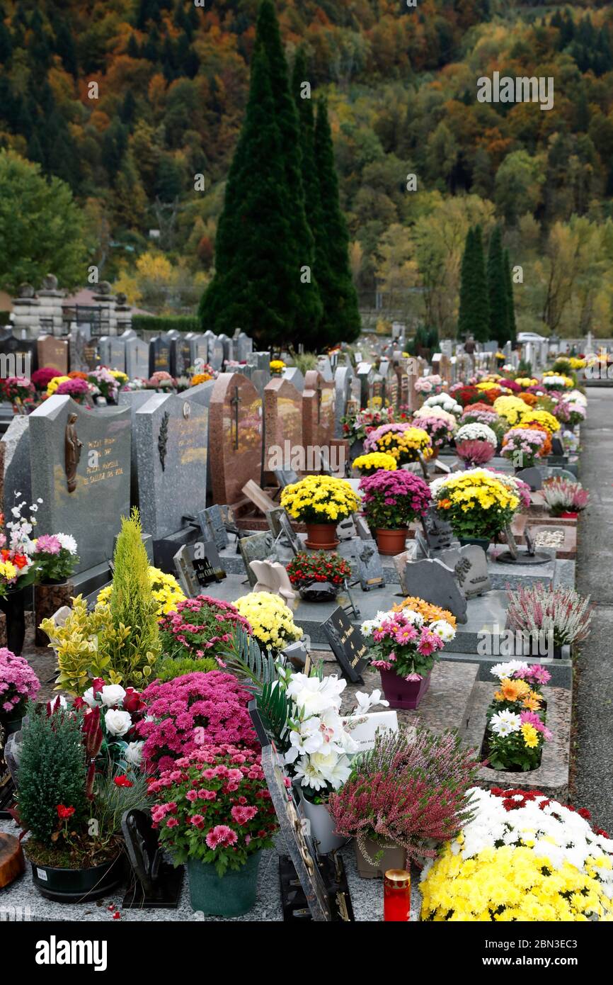 Allerheiligen auf einem Friedhof. Blumen, die zu Ehren verstorbener  Verwandte platziert wurden. Frankreich Stockfotografie - Alamy