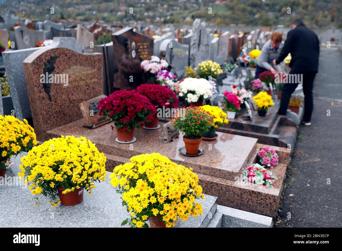 Allerheiligen auf einem Friedhof. Blumen, die zu Ehren verstorbener Verwandte platziert wurden. Frankreich. Stockfoto