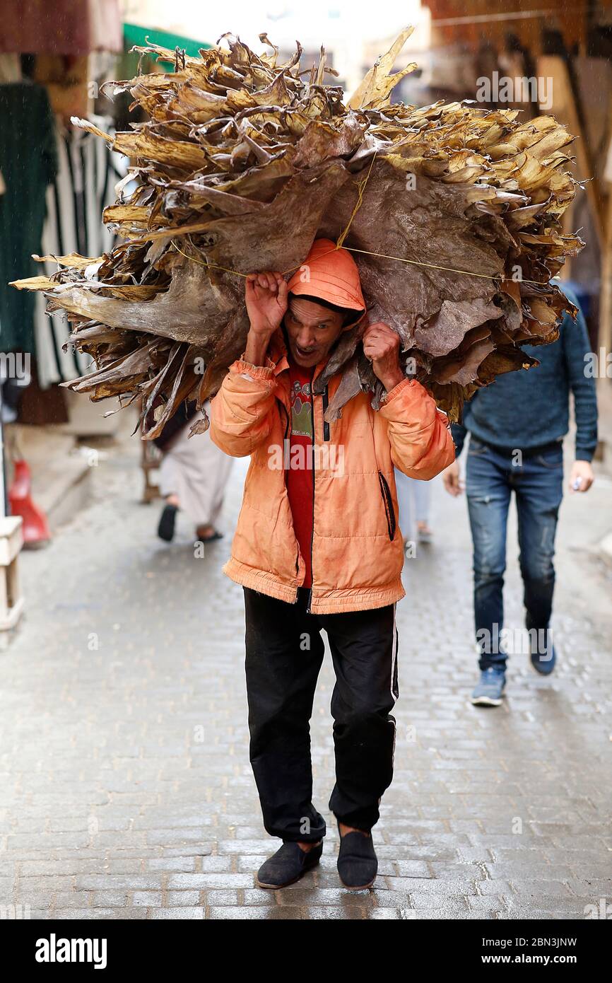 Mann mit Häuten in Fes Medina (Altstadt), Marokko. Stockfoto