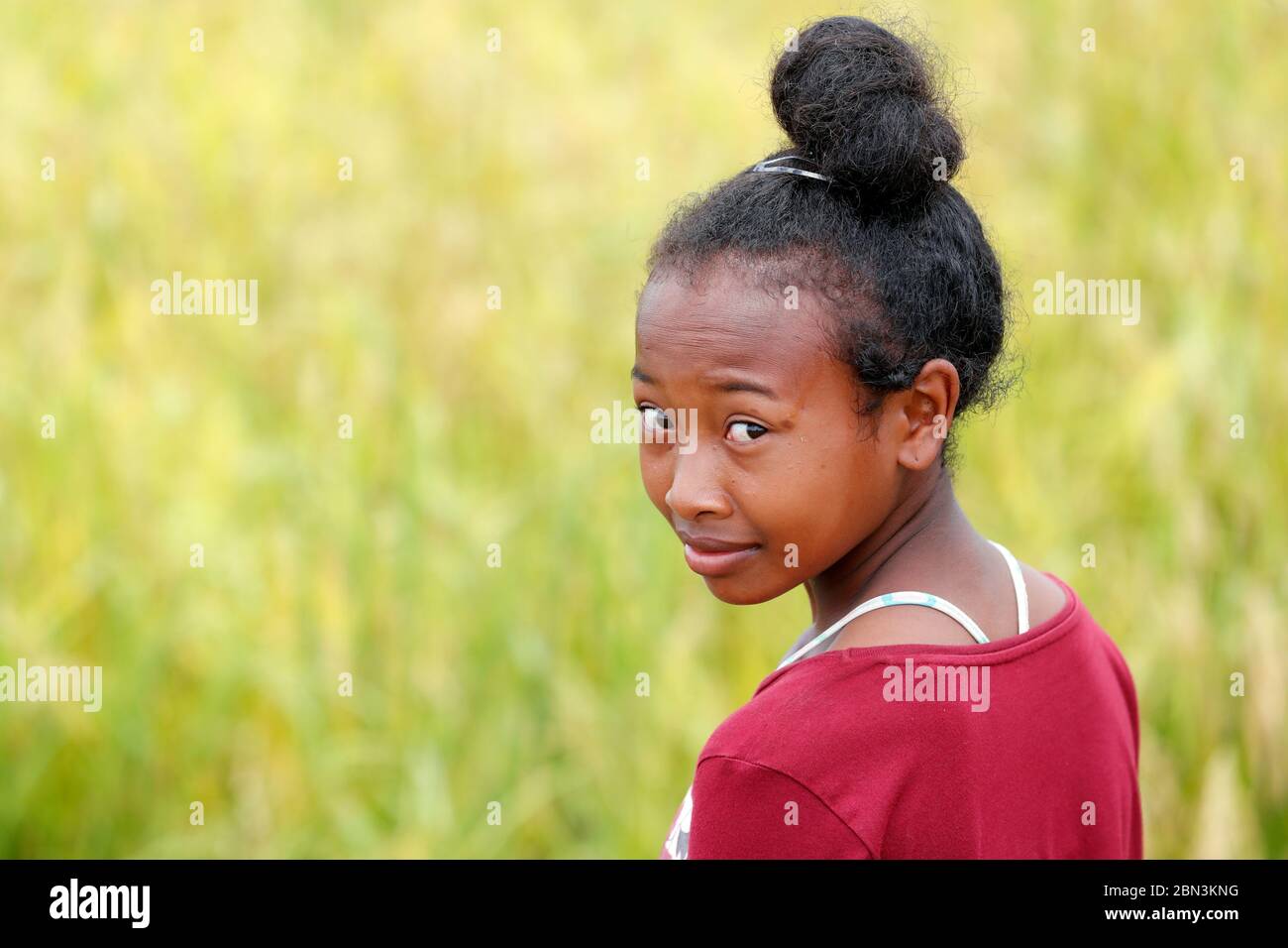 Madagassische Mädchen. Porträt im Reisfeld. Antananarivo. Madagaskar. Stockfoto
